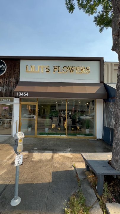 Silver Dipped Graphix - Polished Gold warm LED backlit. - Signmaking Near Me - Valley Village, California