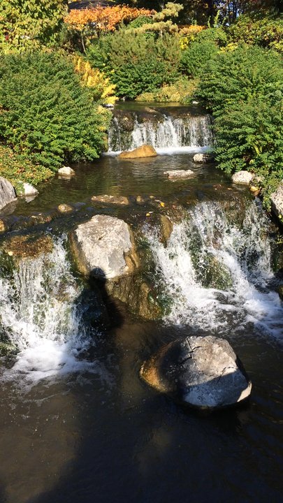 Setagayapark - Parks Near Me - Wien, 3