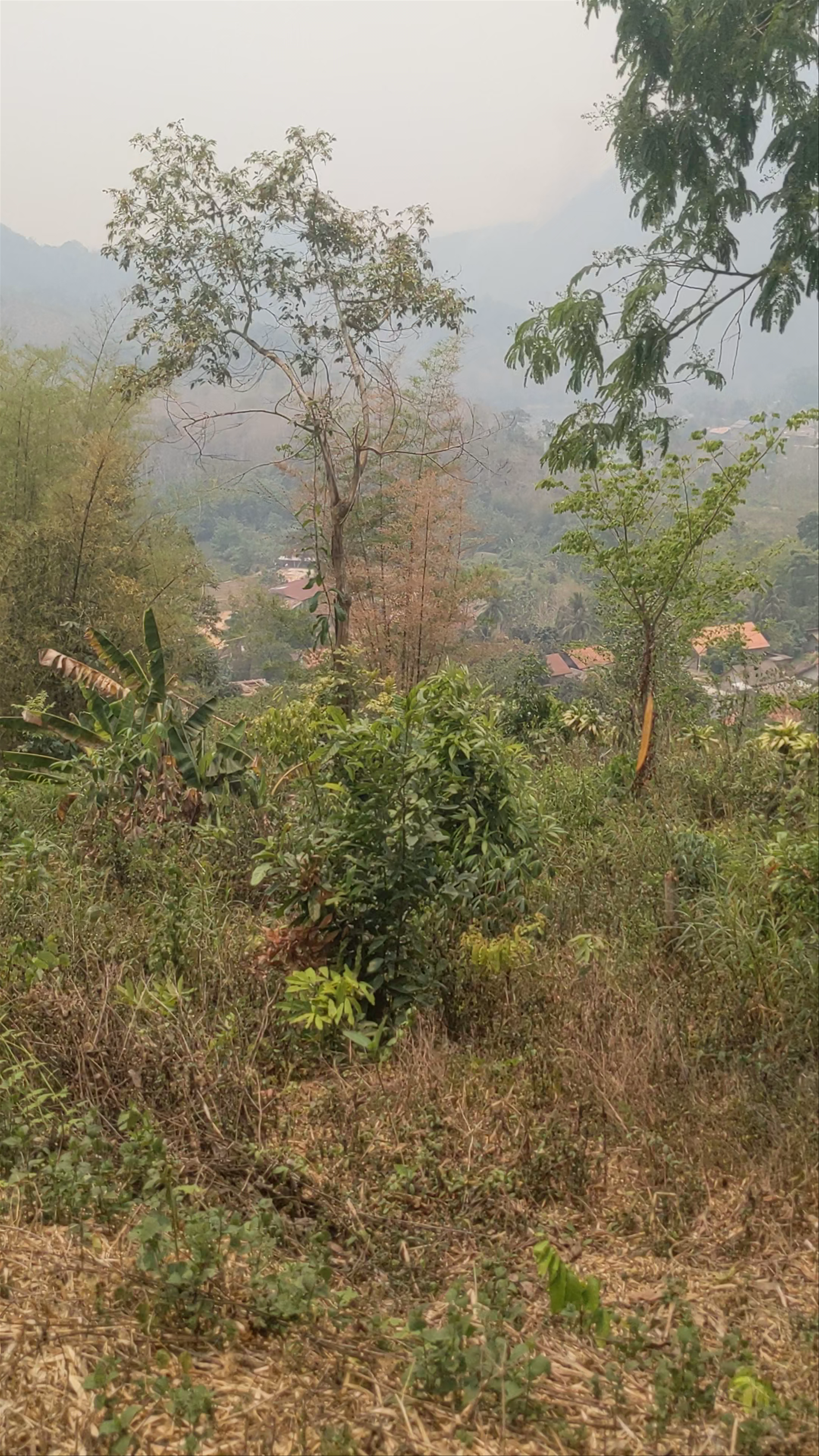 Phar Khew Lom 360 Viewpoint