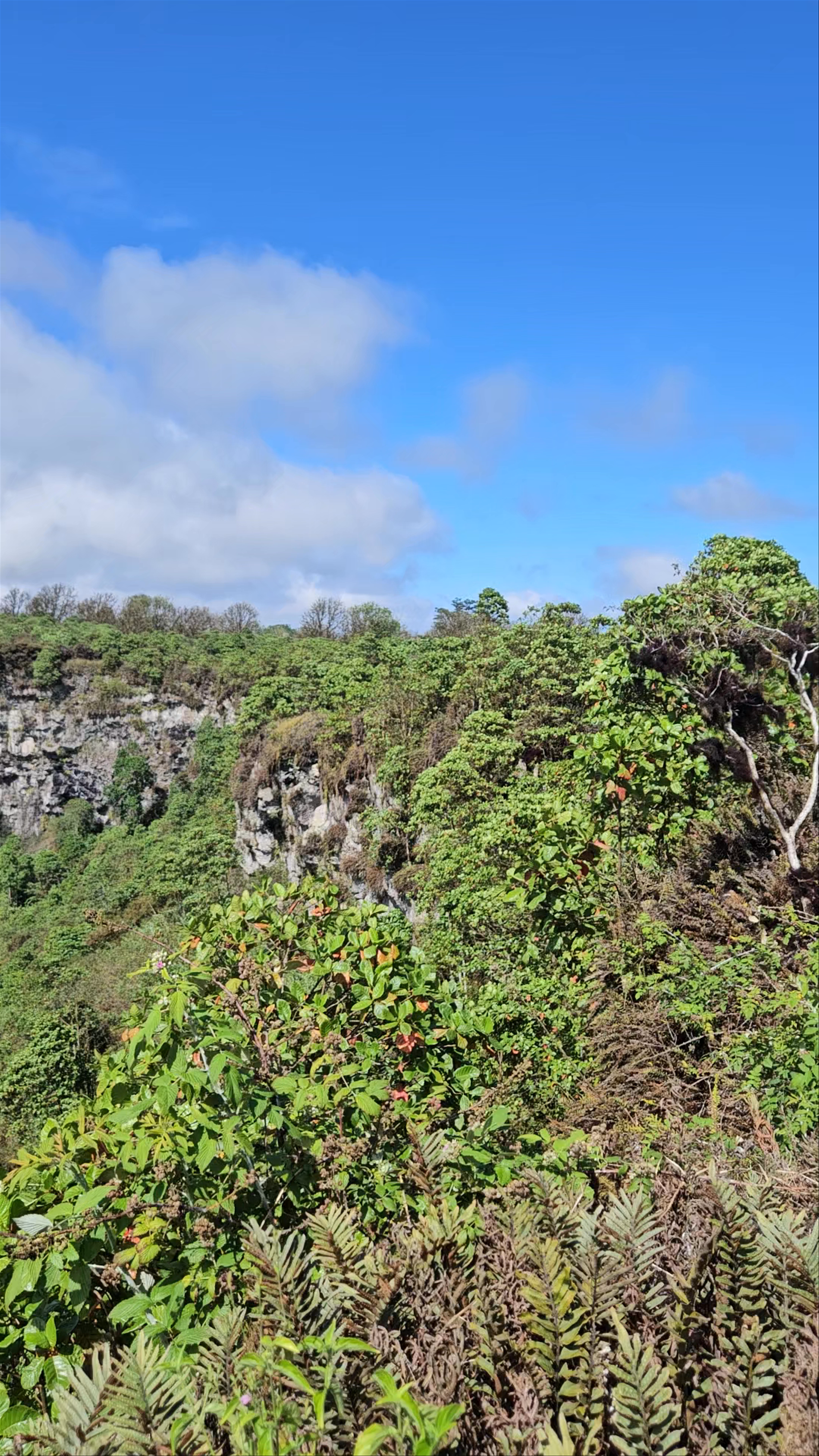 Exploring Los Gemelos - Breathtaking Craters on Santa Cruz Island, Galapagos
