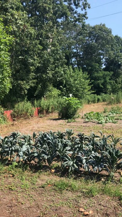 Organics Today - Farmers Market Near Me - East Islip, New York