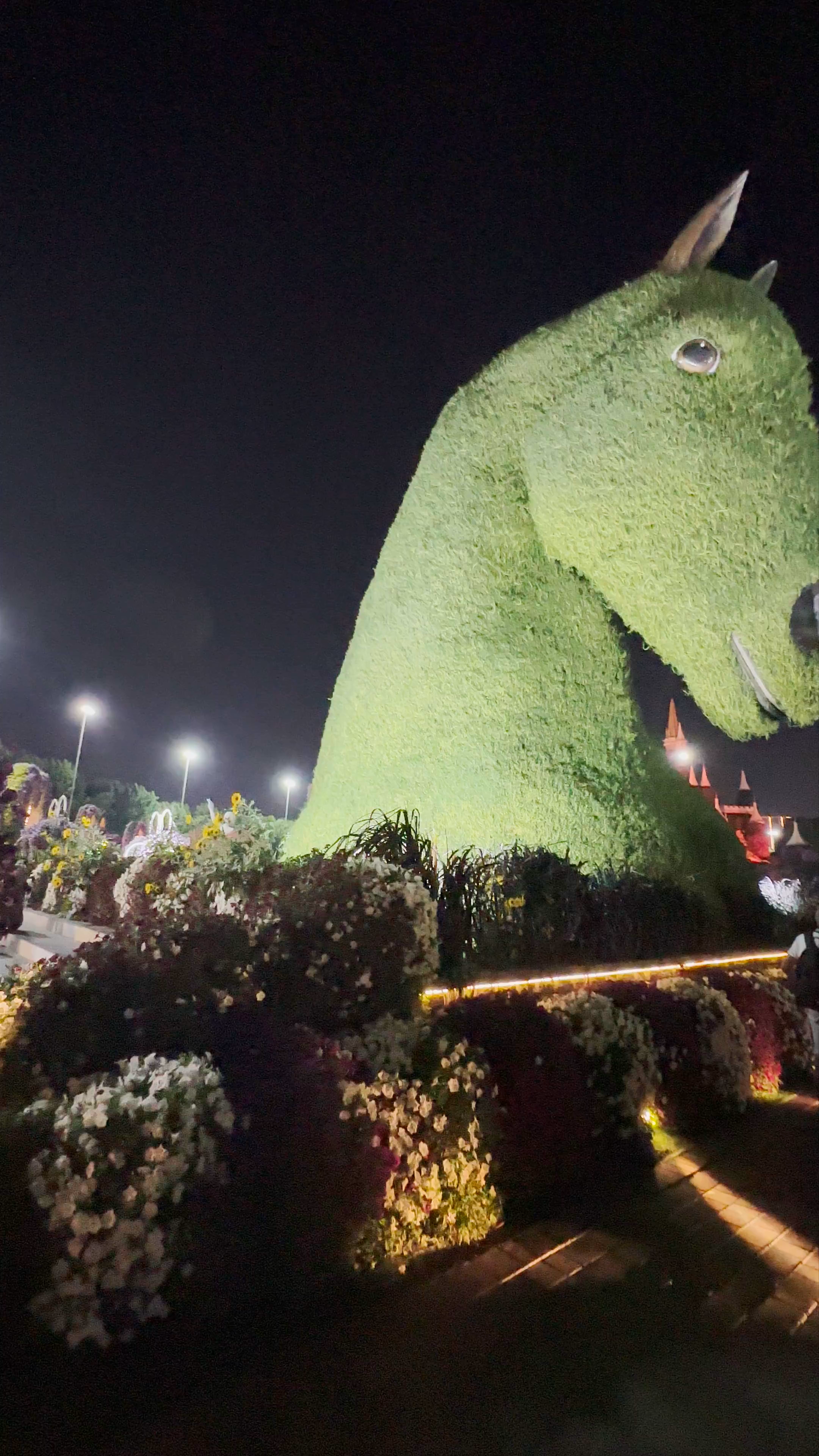 Magical Night at Dubai Miracle Garden: Illuminated Floral Sculptures