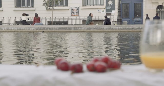 Parisian picnic near a canal