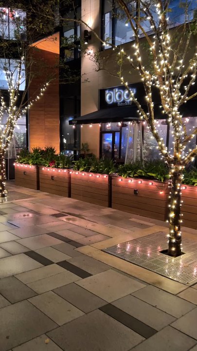 Bibo's Bistro & Bar - Front - Vietnamese Near Me - Houston, Texas