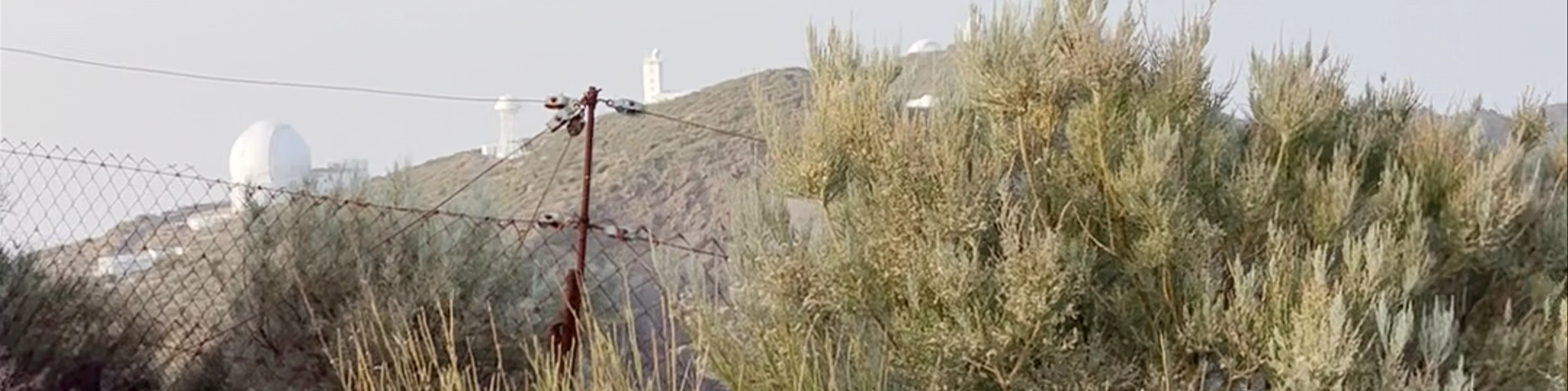 Observatorio Roque de los Muchachos