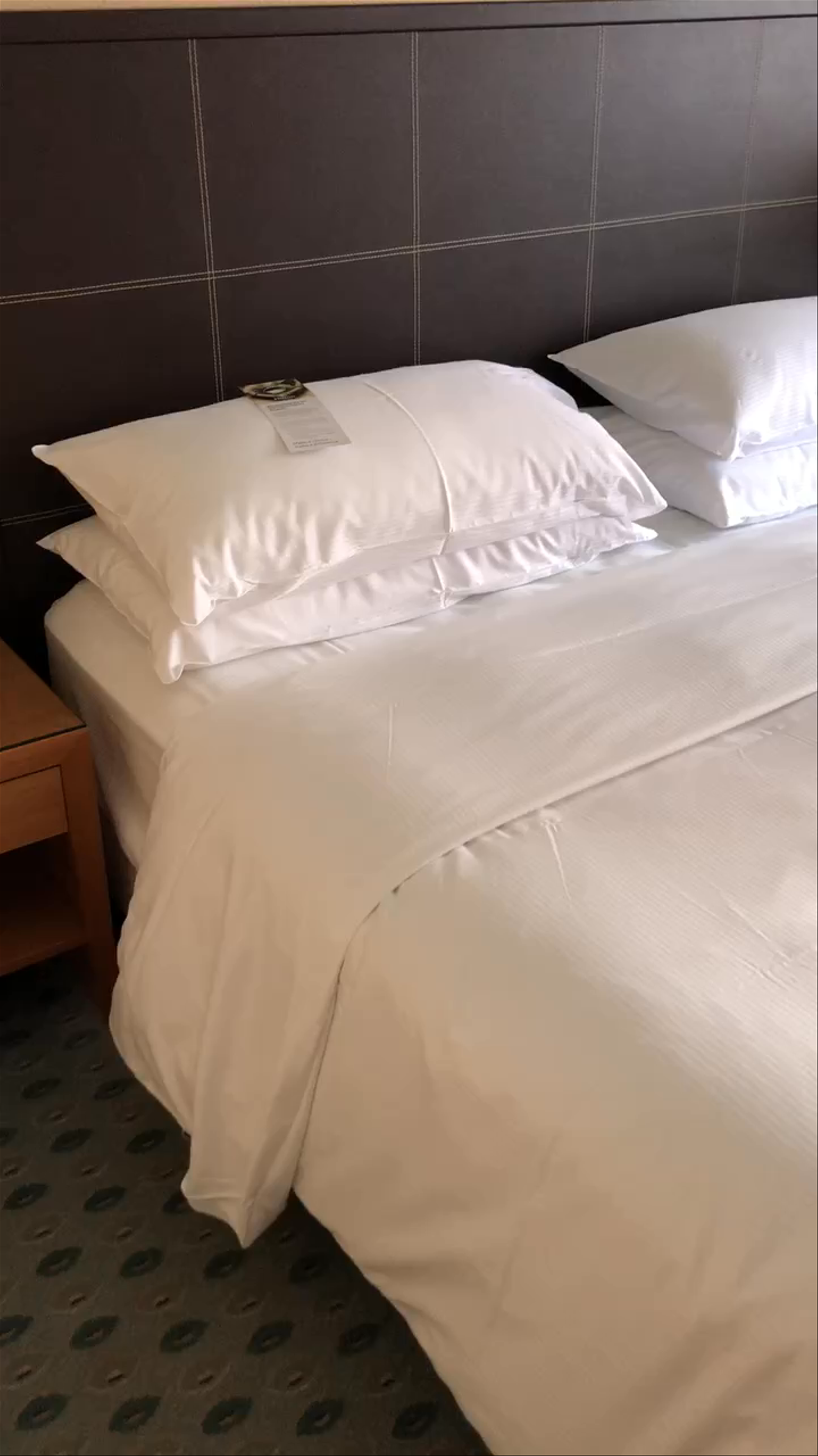 Cozy Stay with Iconic Frauenkirche View at Hilton Dresden