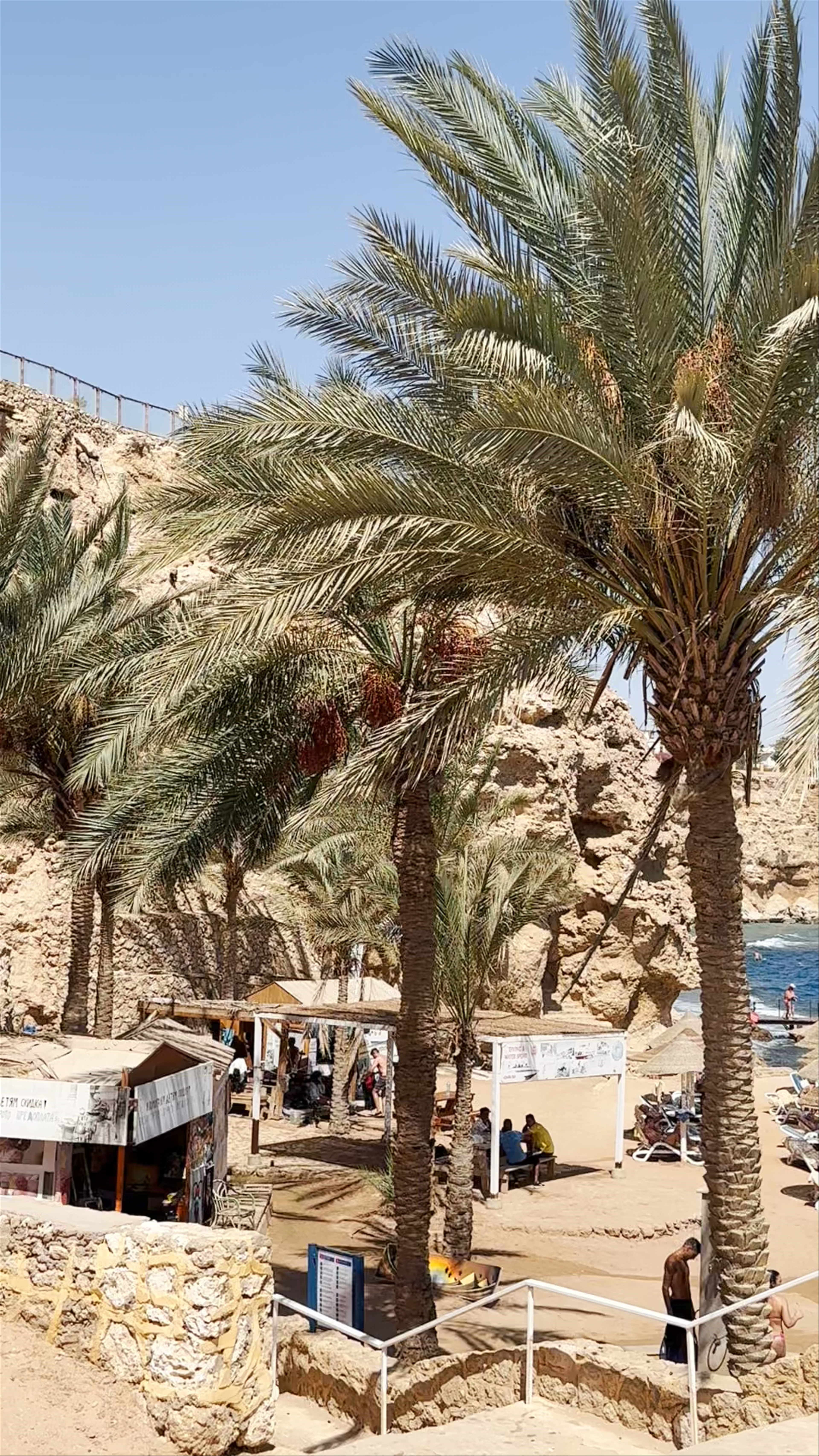 Dreams Beach Resort Sharm El Sheikh