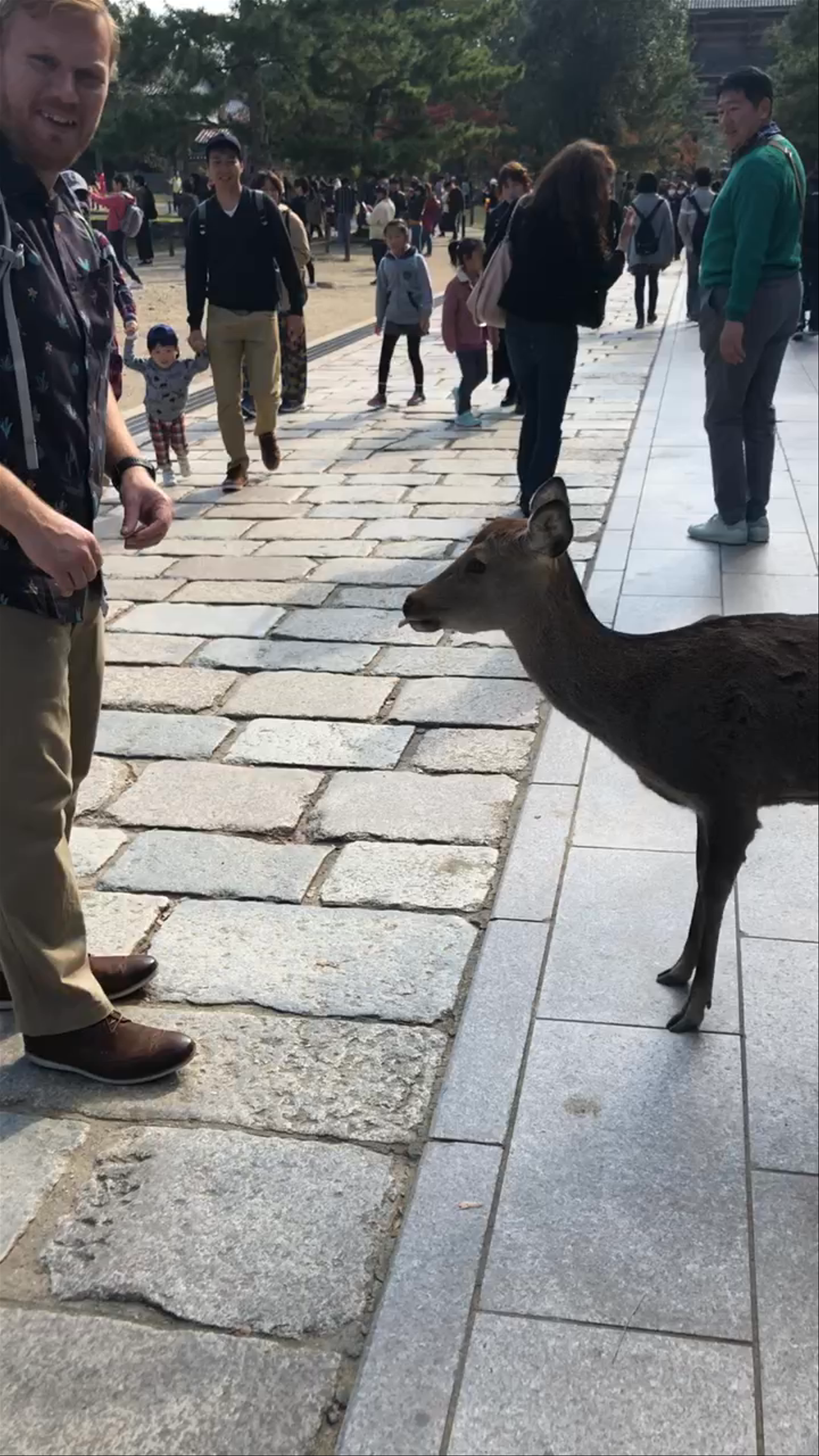 Nara Park