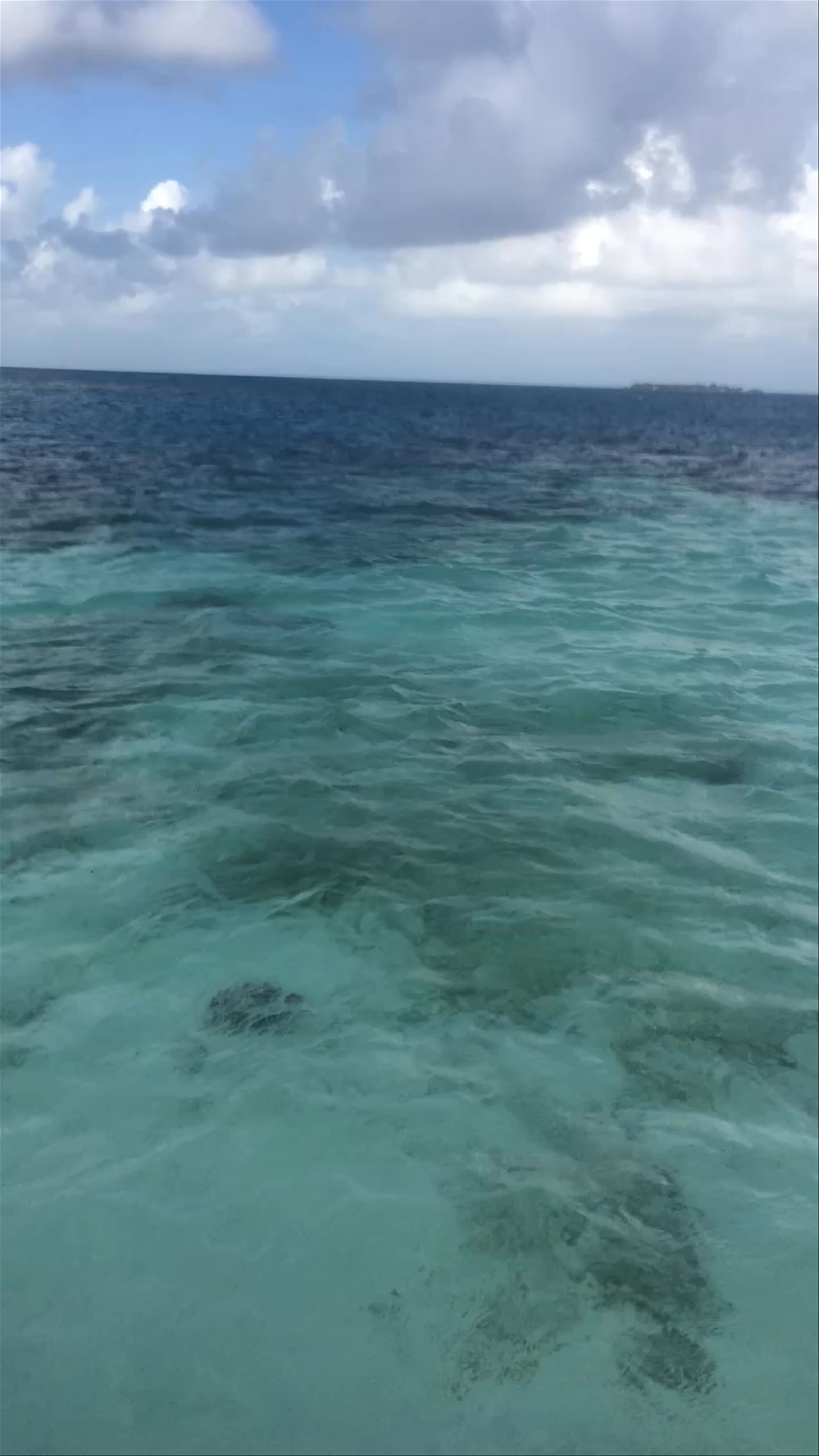 Snorkeling Tour in Placencia 🇧🇿