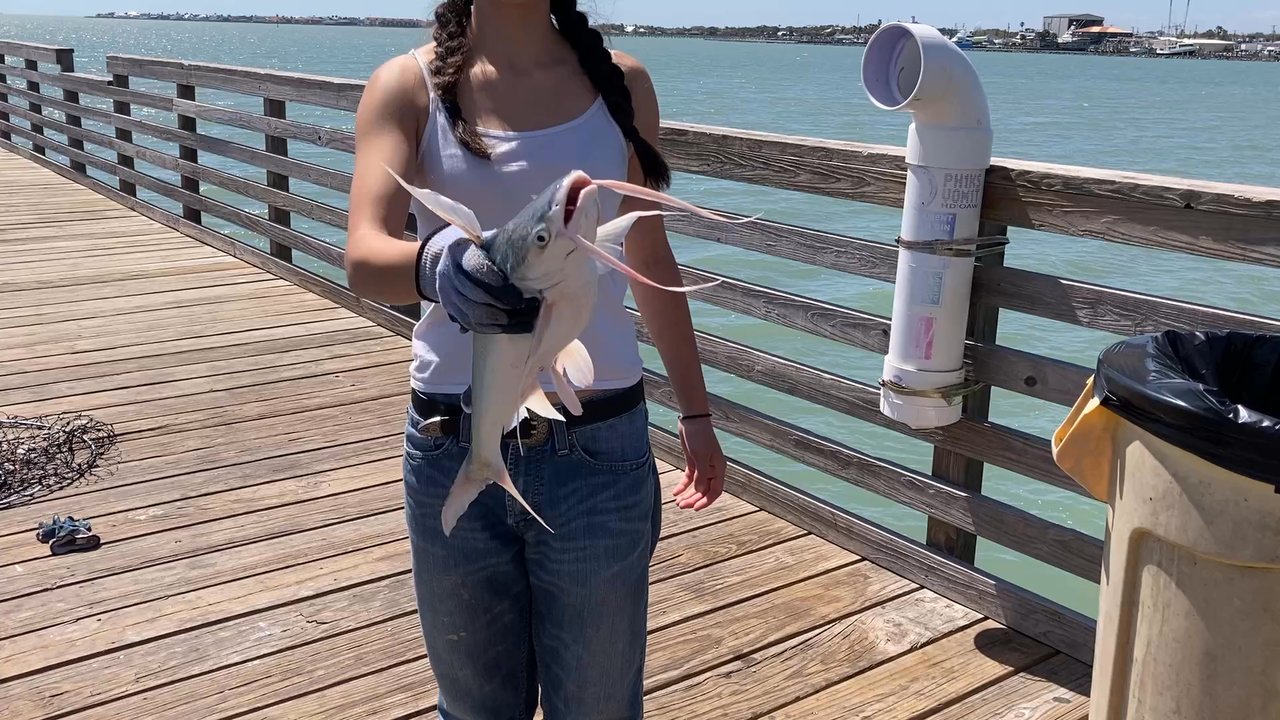 Alby's Seafood - Fulton Pier Spring Break 2026. - Seafood Markets Near Me - Fulton, Texas
