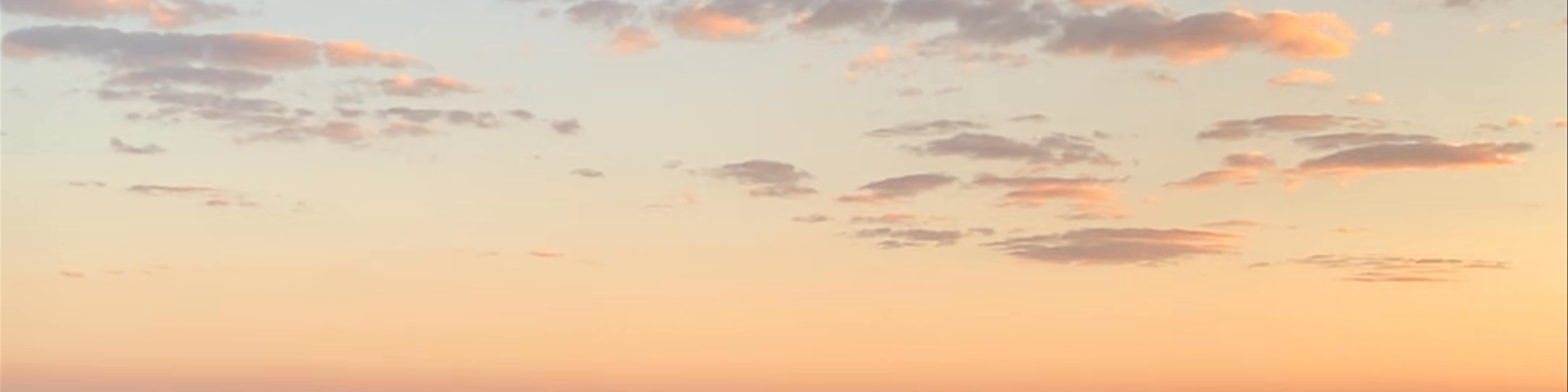 Arizona