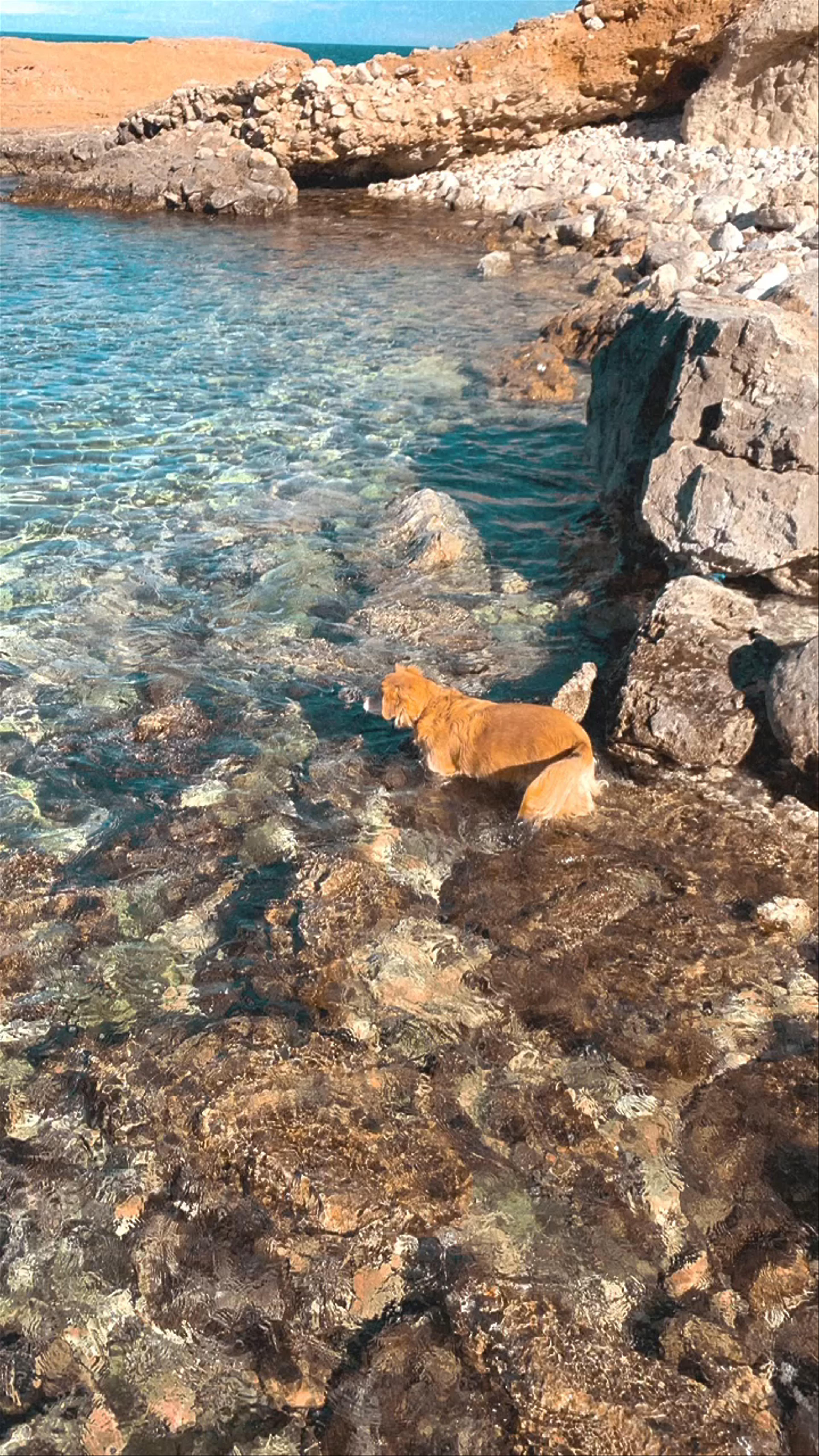 Cala Blanca - Jávea