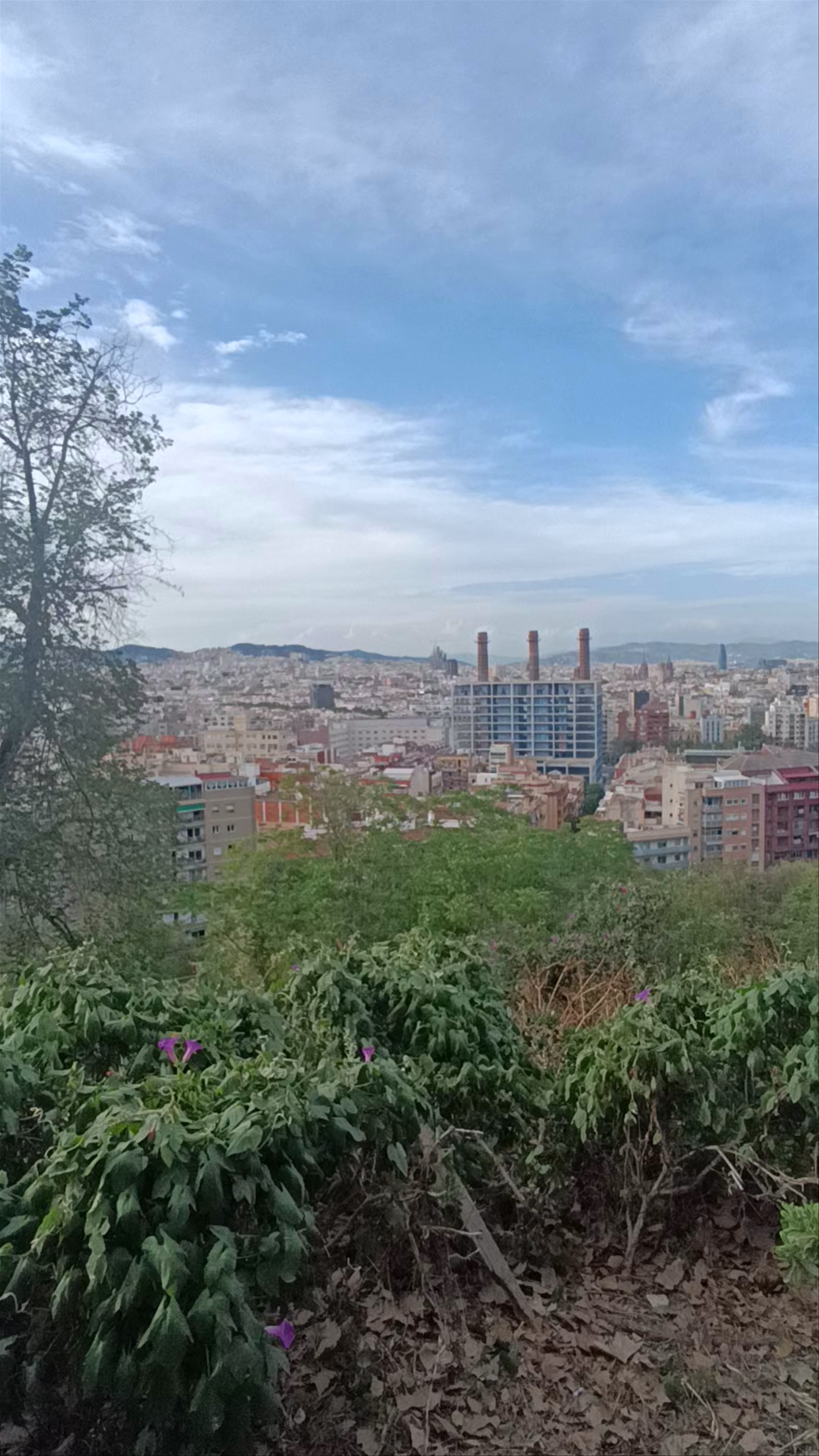 Mirador