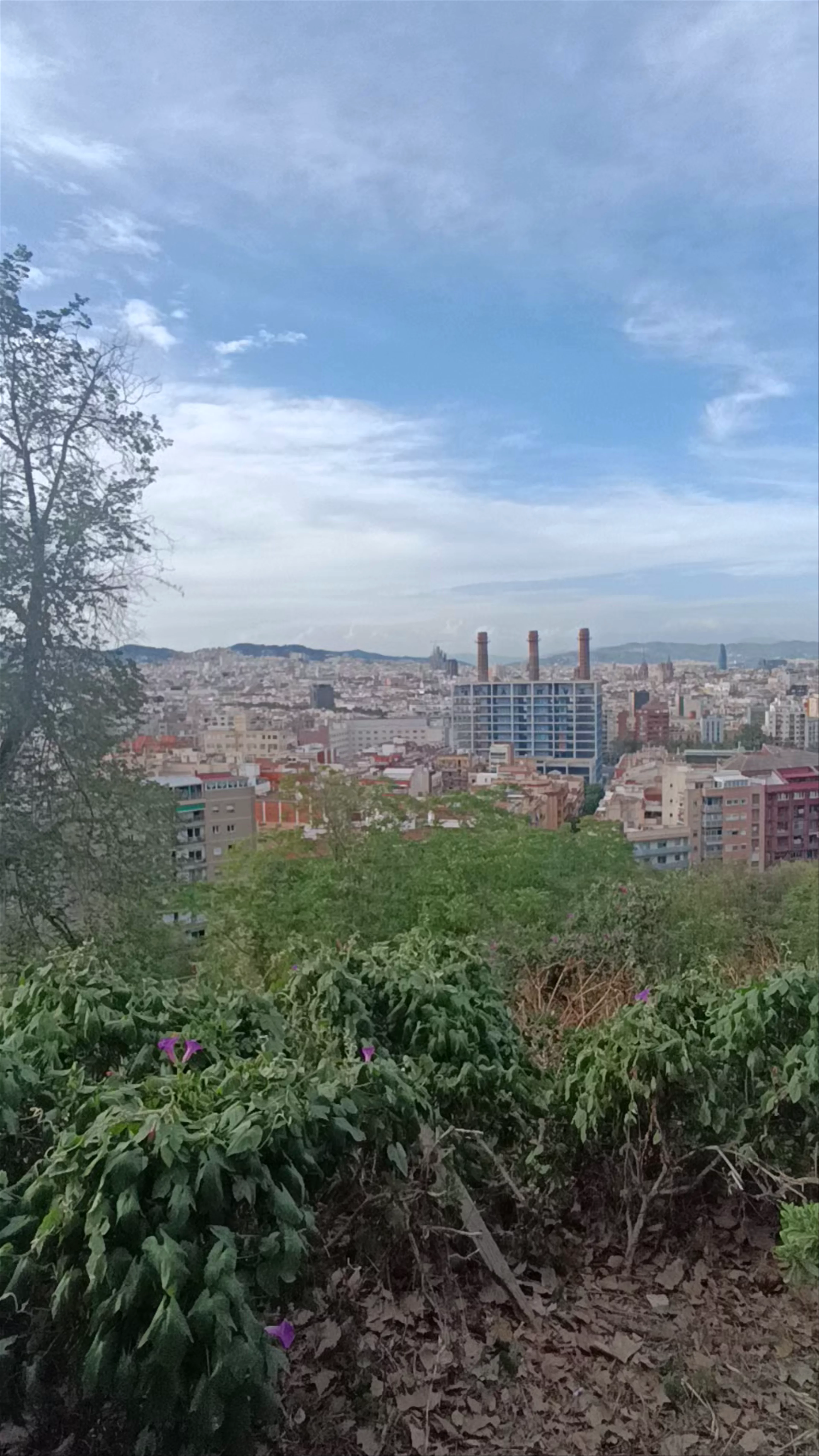 Mirador, Plaça Carlos Ibáñez