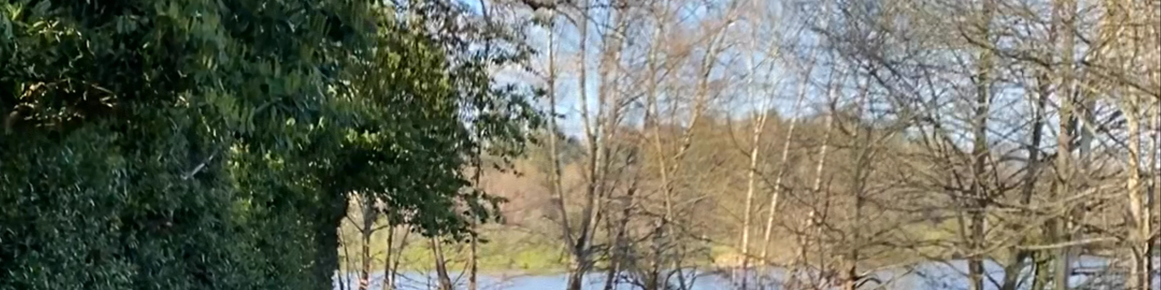 Virginia Water Lake