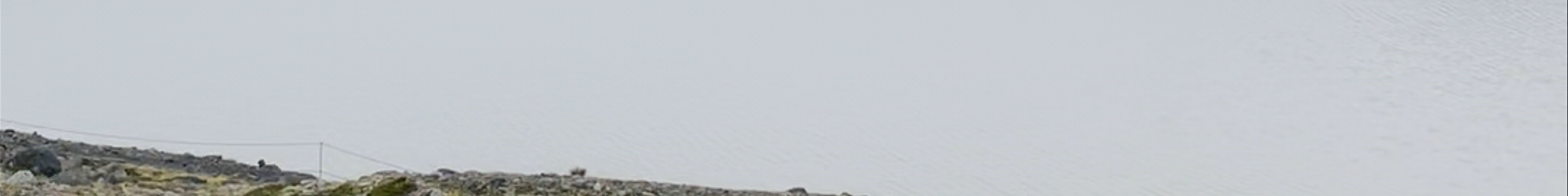 Tours & experiences in Höfn