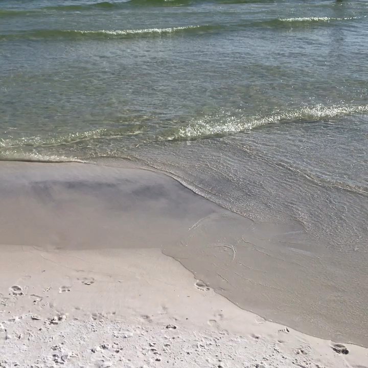 Video thumbnail 5 more videos