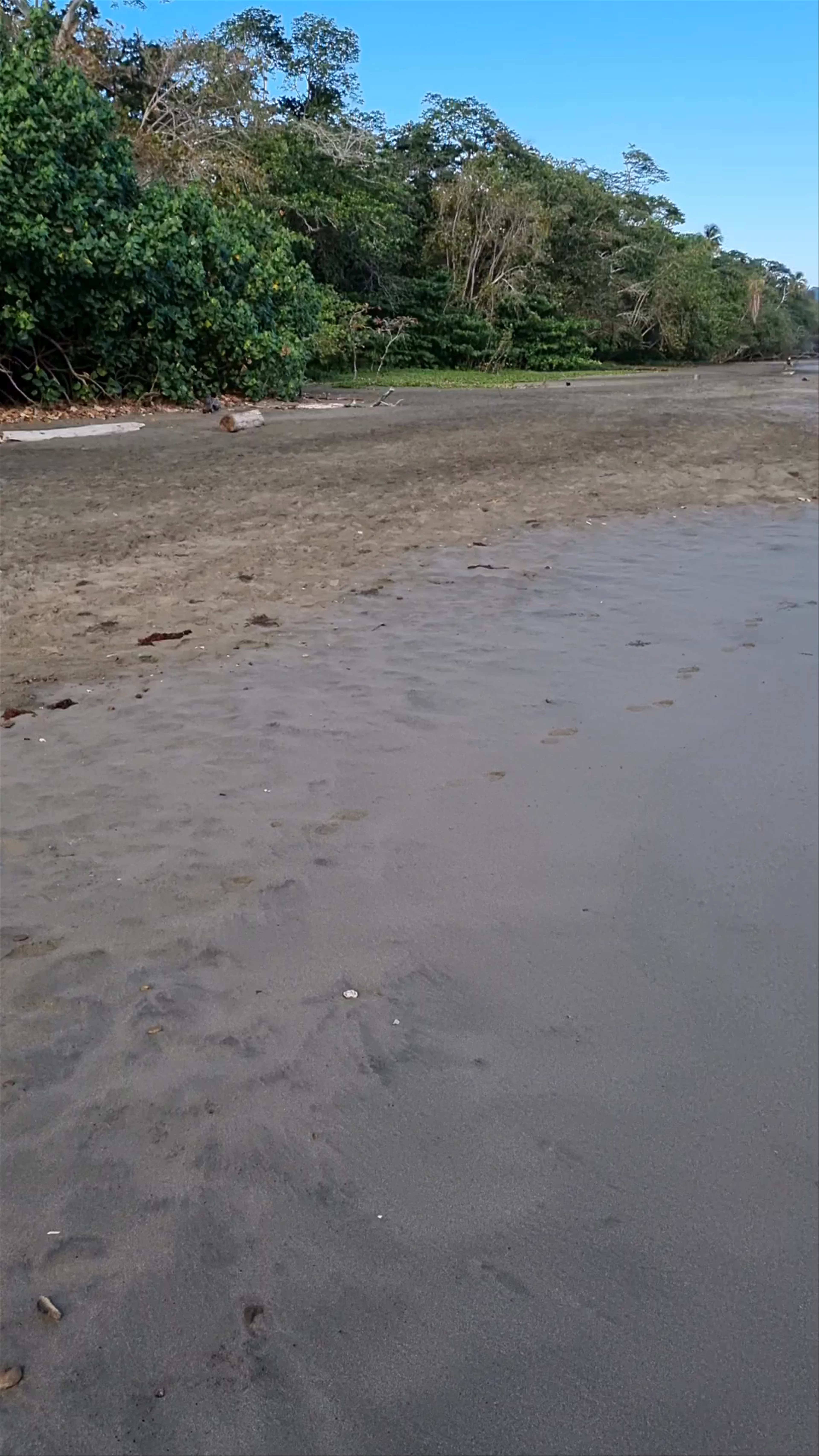 Playa Negra