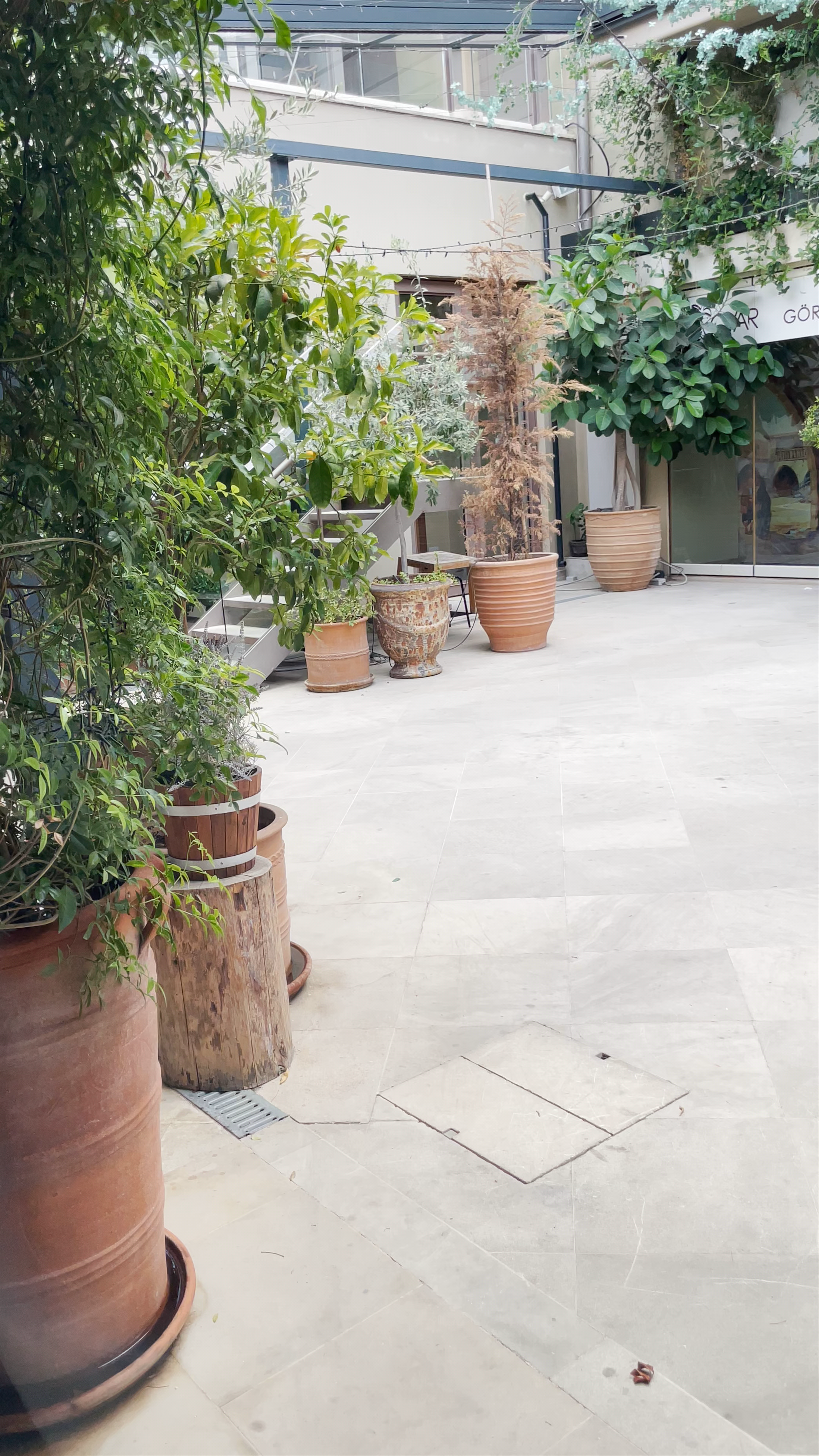 CVAR - Severis Foundation