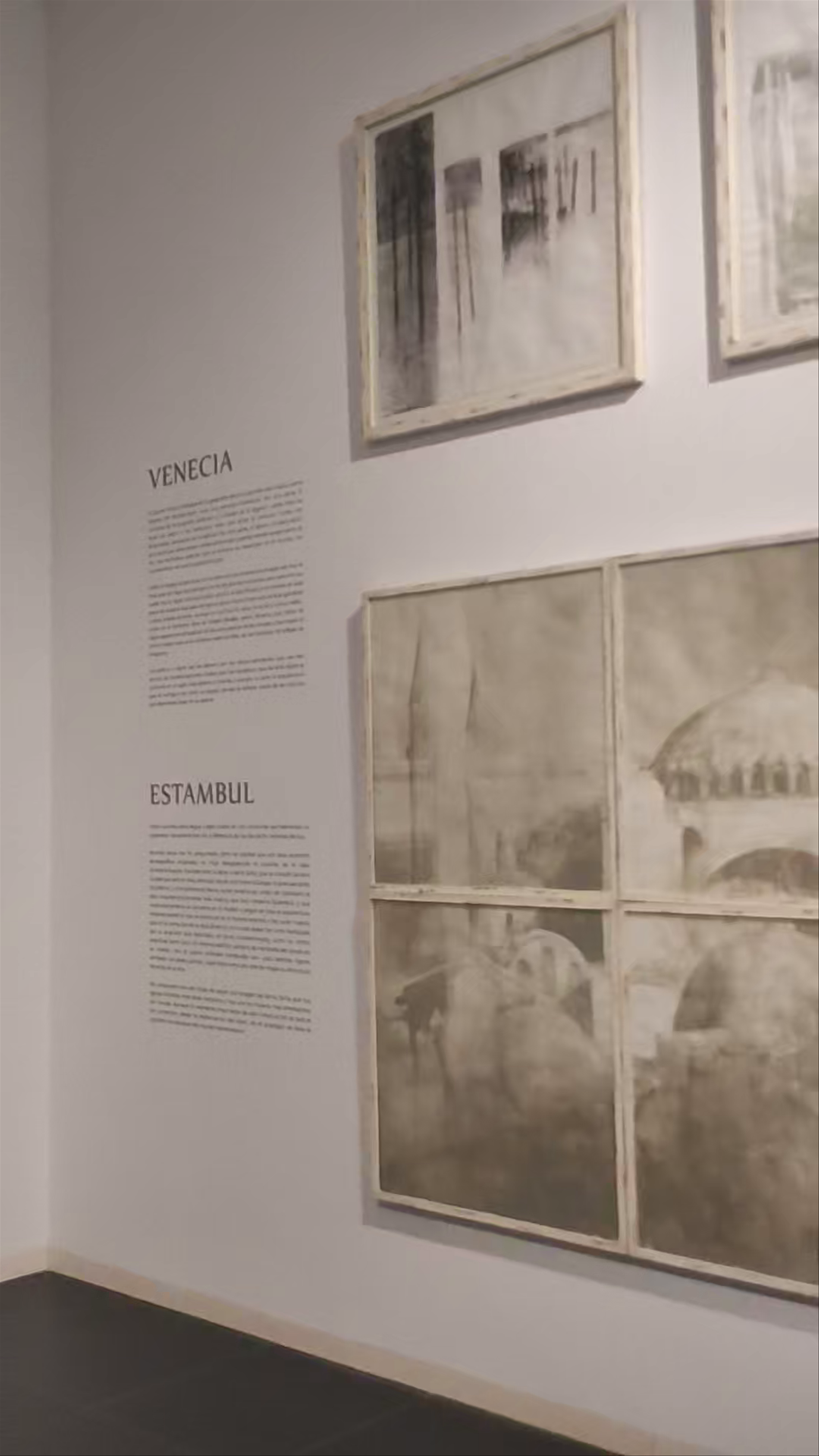 Fundación Pedro Cano