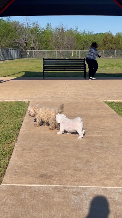 Ruby Grant Dog Park - Dog Parks Near Me - Norman, Oklahoma