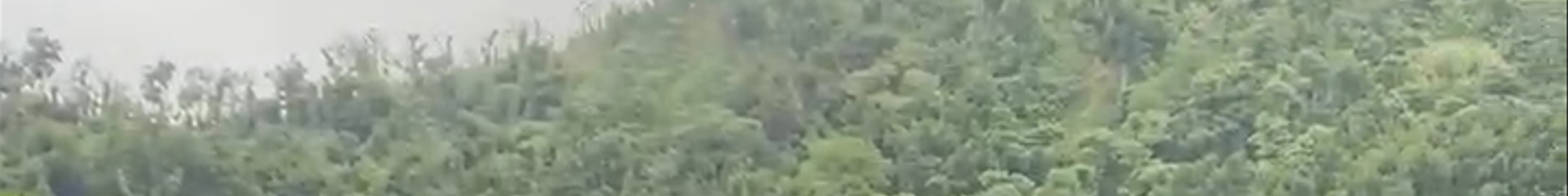 Tours & experiences in Dominica