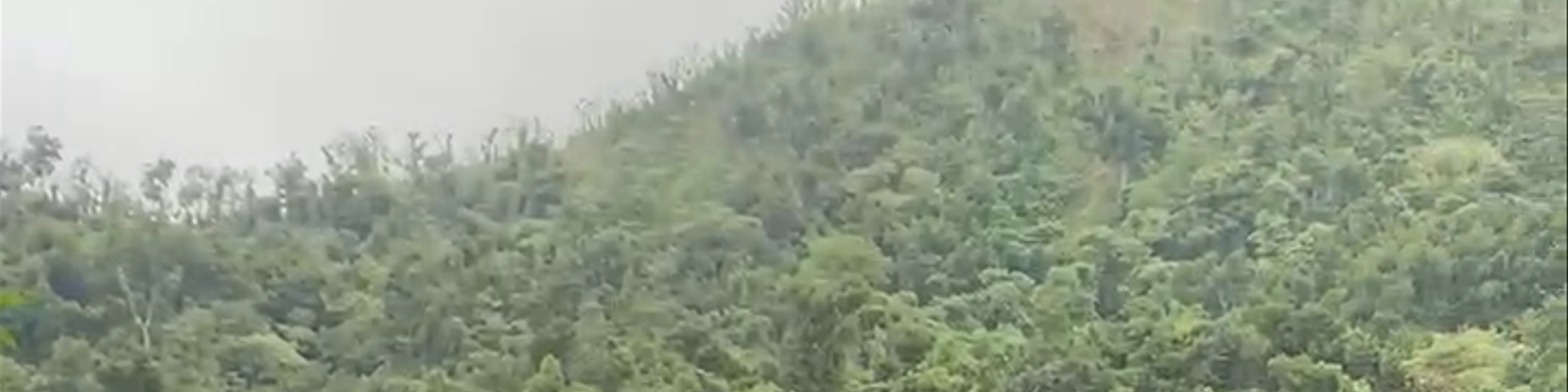 Dominica