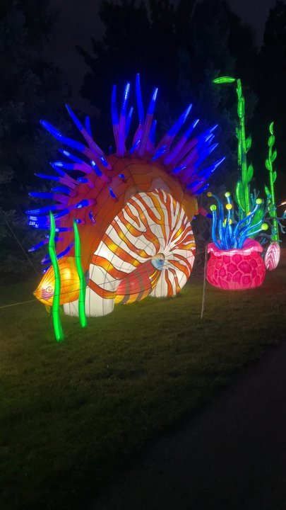 Dragon Lights Reno - Local Flavor Near Me - Reno, Nevada