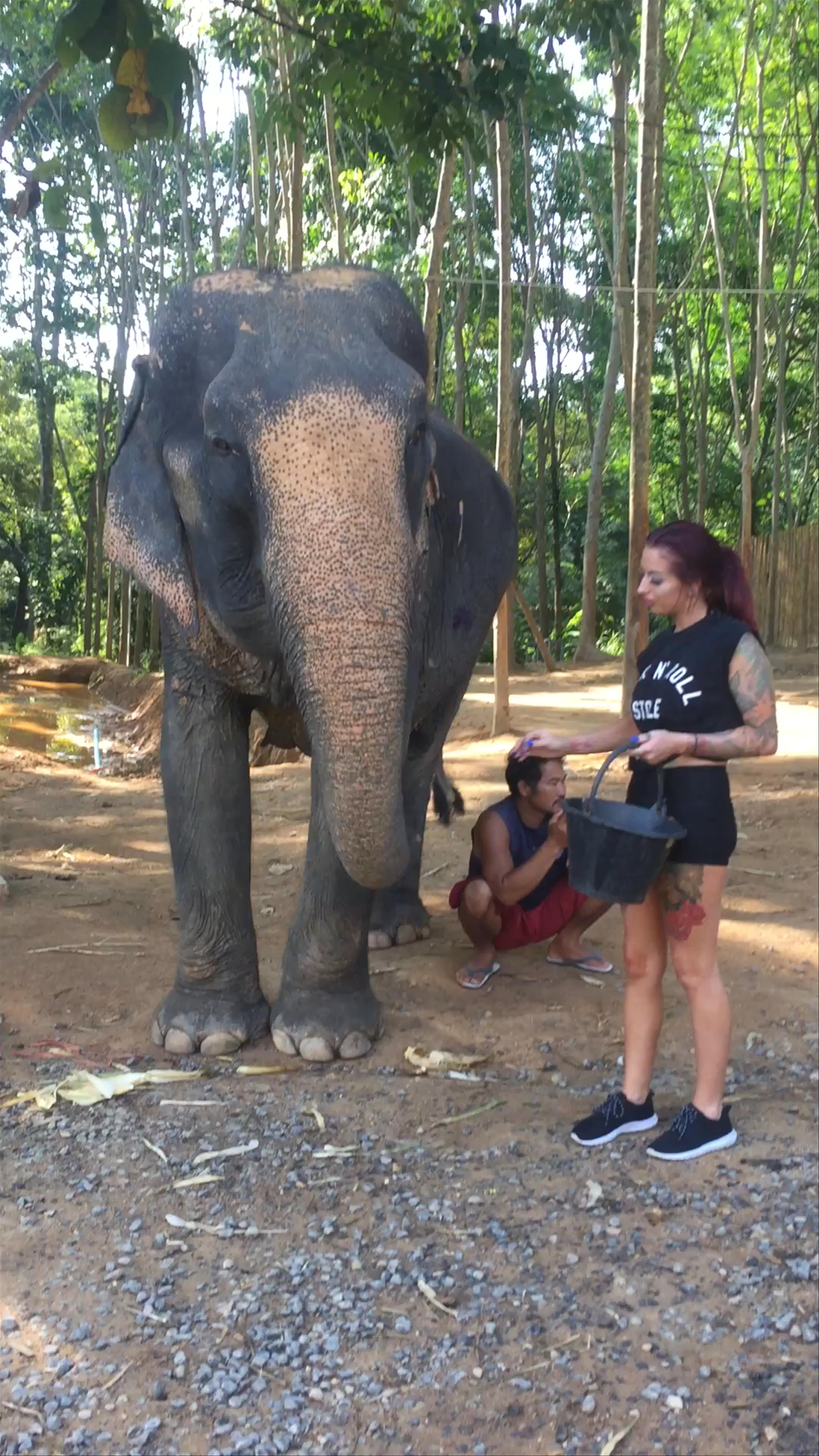 Elephant Jungle Sanctuary Kathu