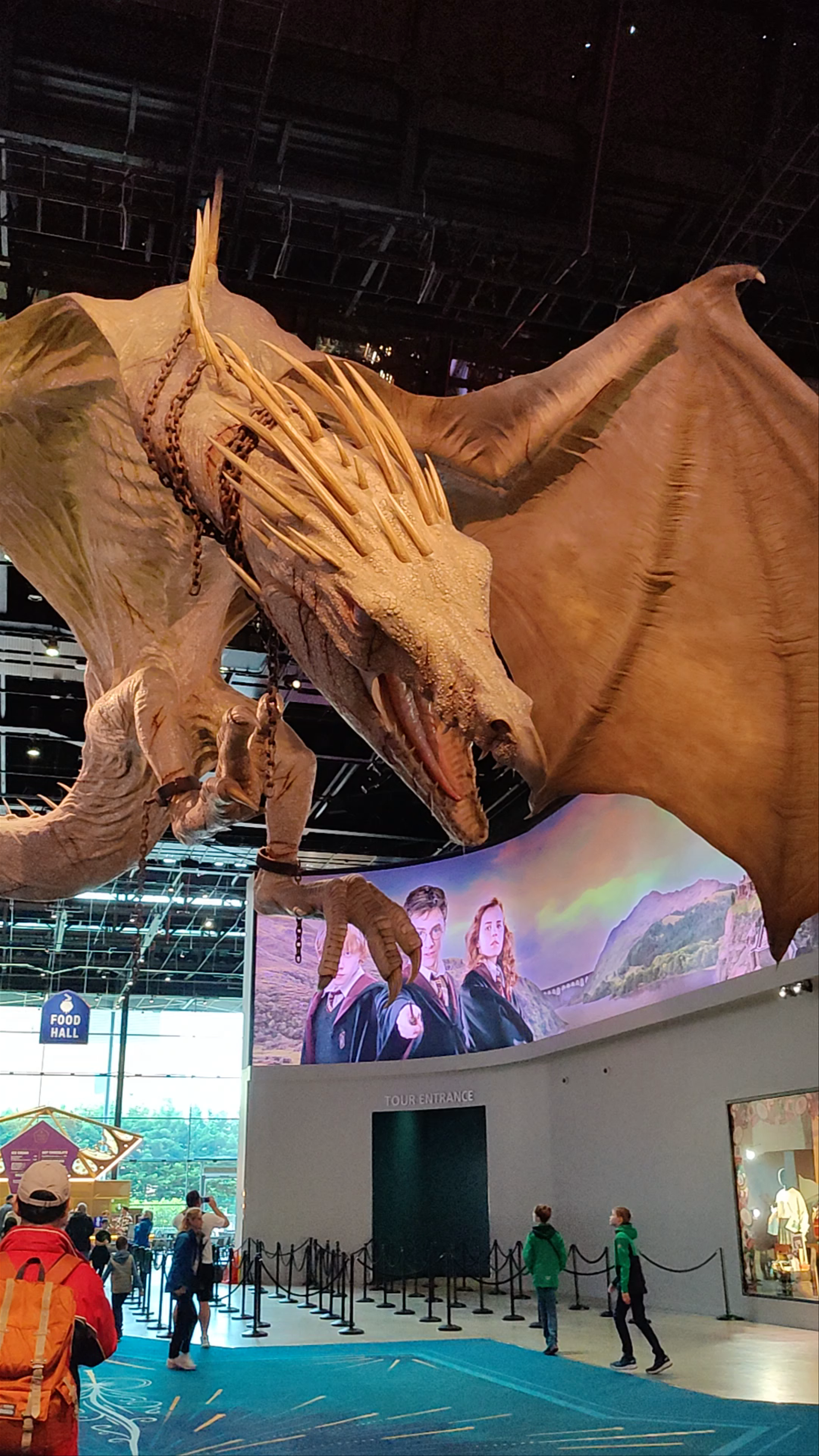 The Flying Dragon at Warner Bros. Studio Tour London – Magical Wizarding World Experience