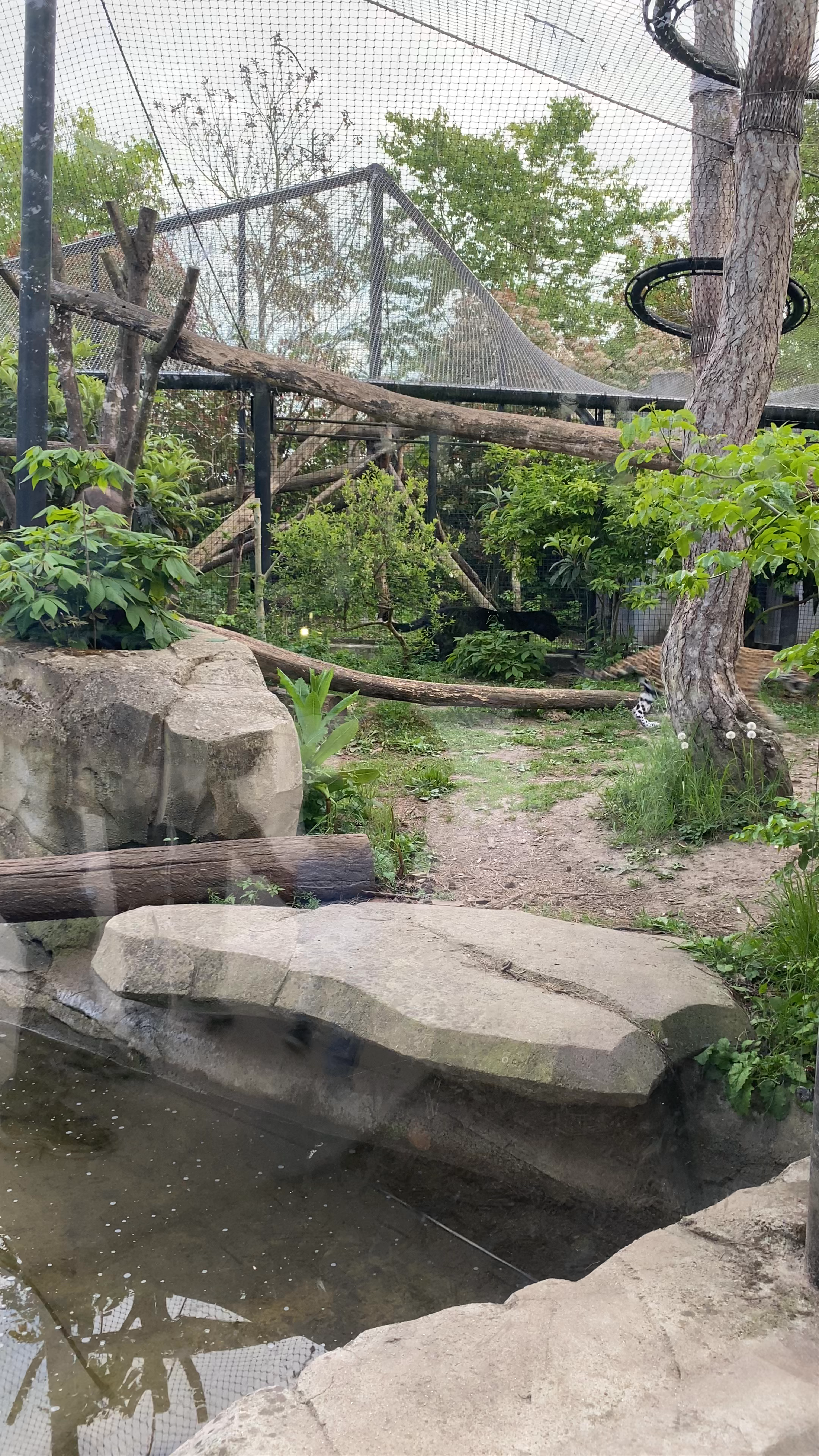 Parc zoologique de Paris