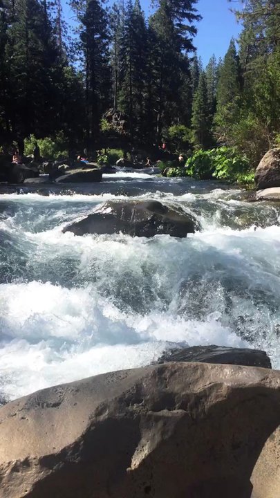 McCloud River Preserve - Hiking Near Me - Mount Shasta, California