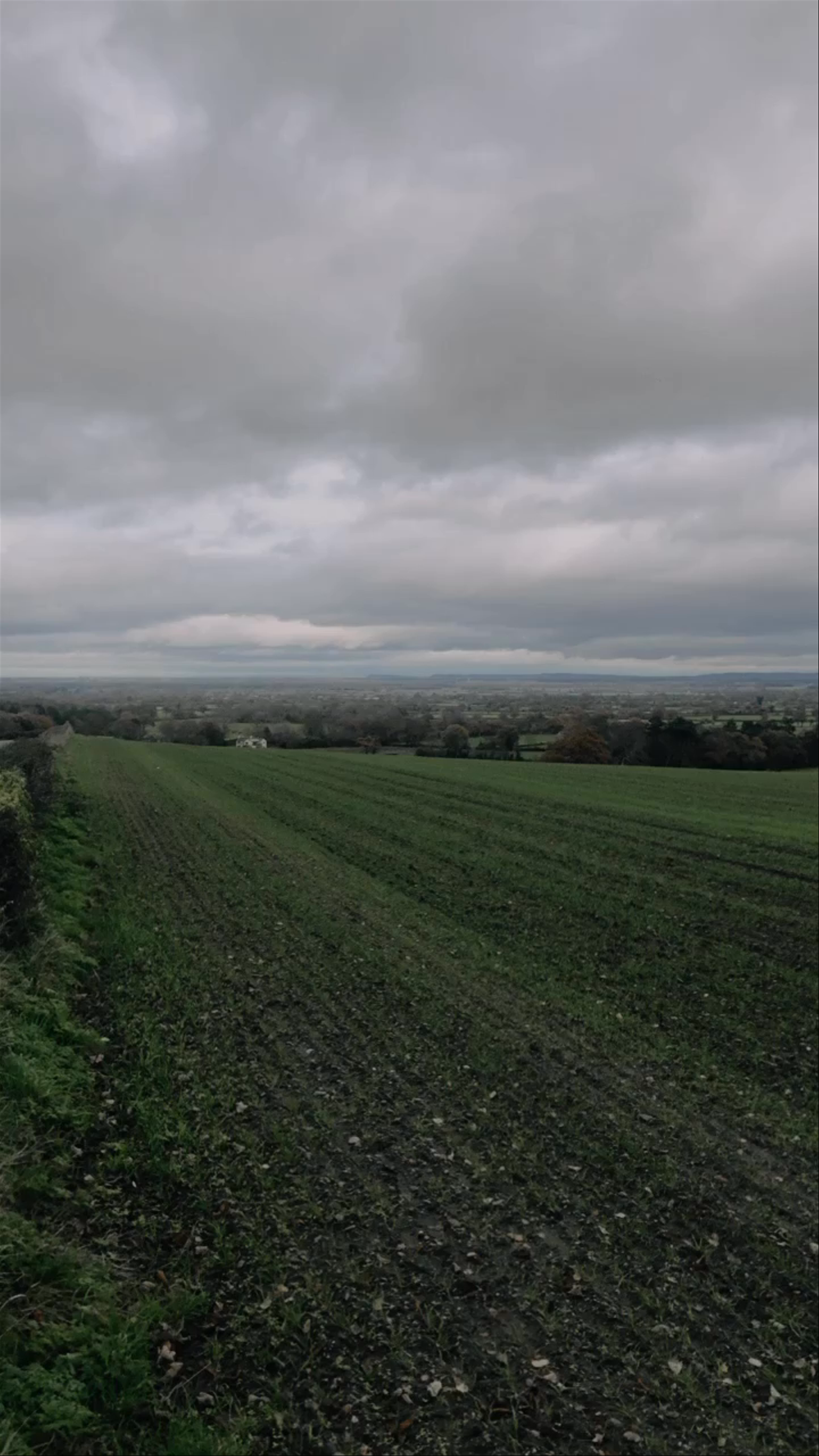 Wynnstay Lane over looking Flintshire 