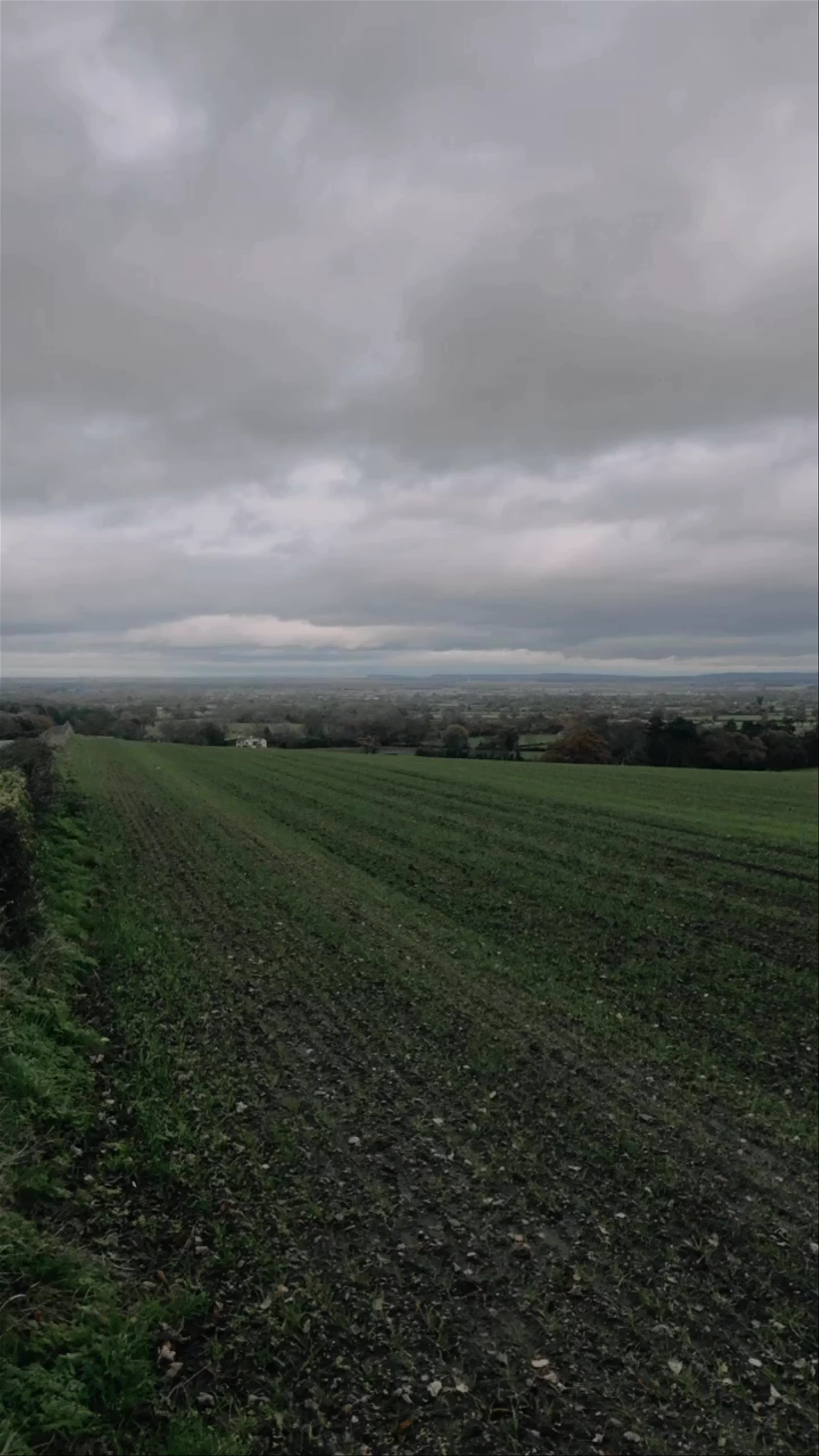 Wynnstay Lane, Marford