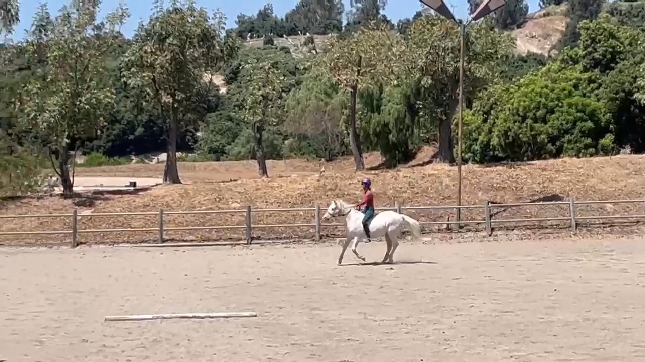 Peck Farm - Showing the campers how it's done on star pony Baxter - Horse Boarding Near Me - Moorpark, California