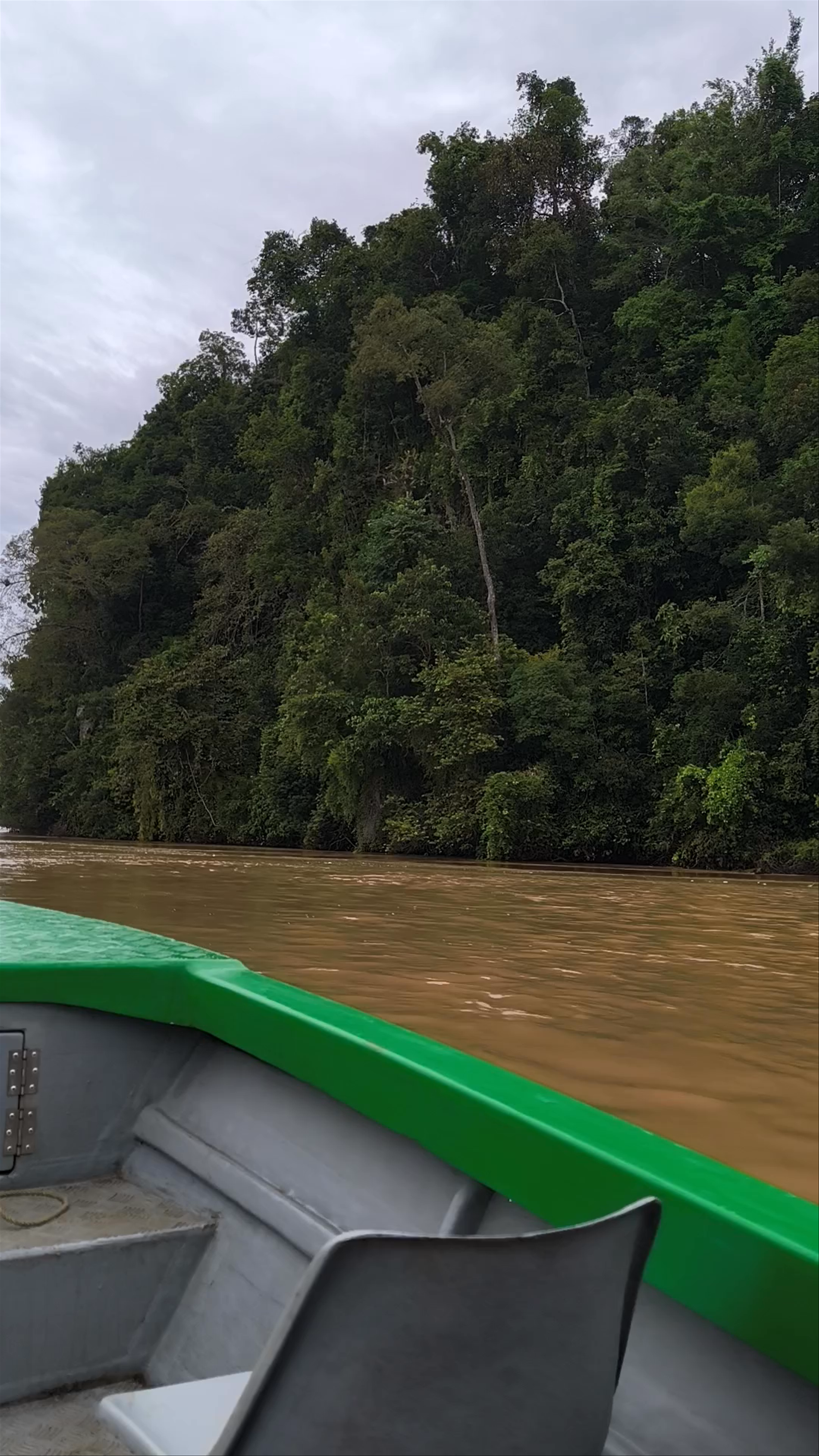 Kinabatangan River
