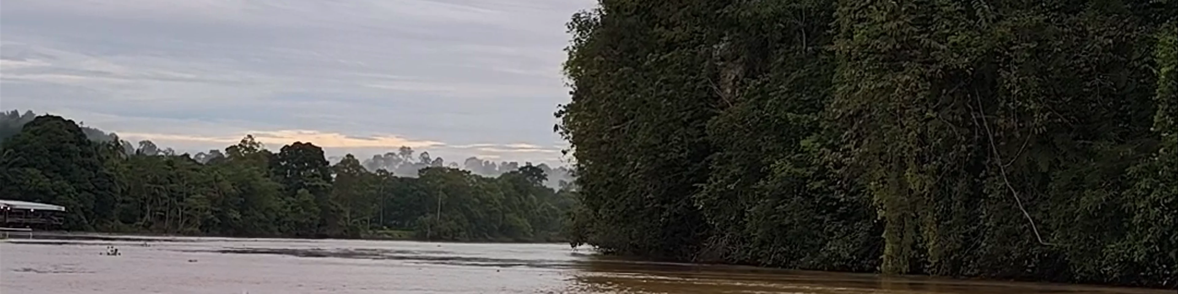 Kinabatangan River