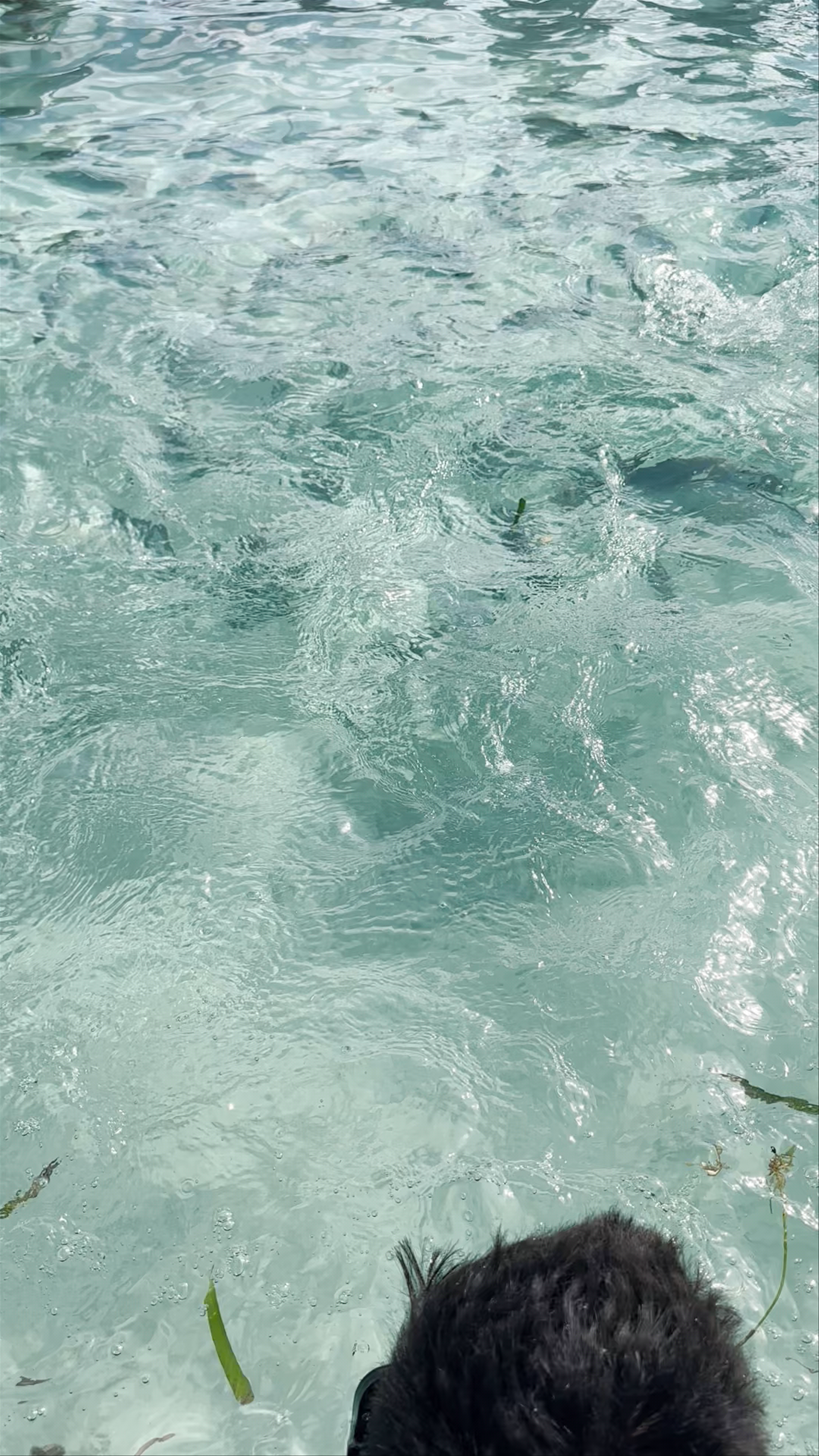 MÍA Reef Isla Mujeres All Inclusive Resort - Crystal Clear Waters and Tropical Vibes