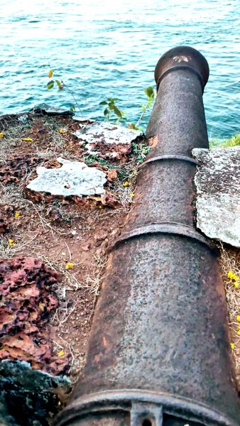 Photo of Betul Beach view fro