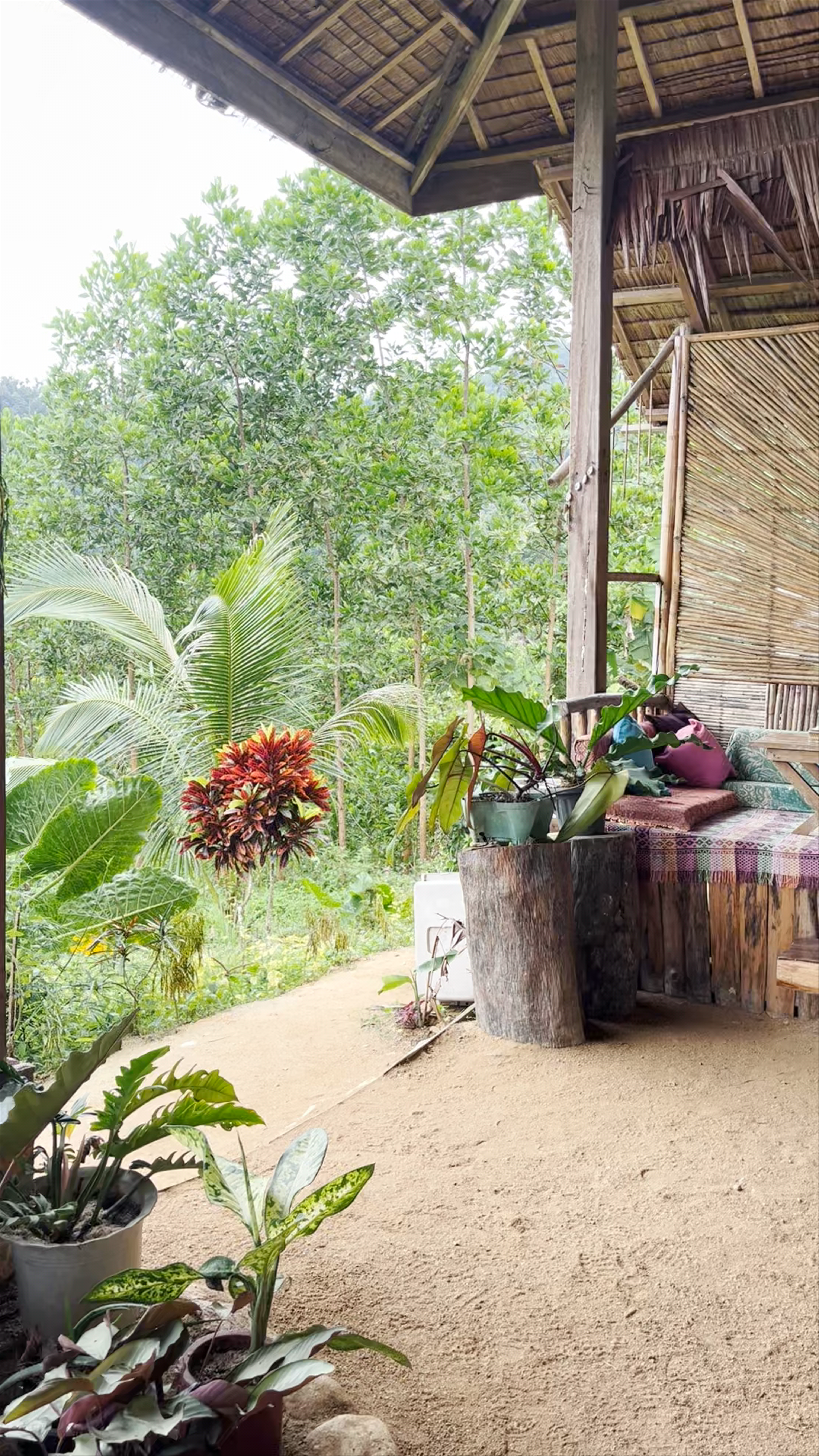 Jungle Bar Retreat: Rustic Shelter & Nature Views in Palawan