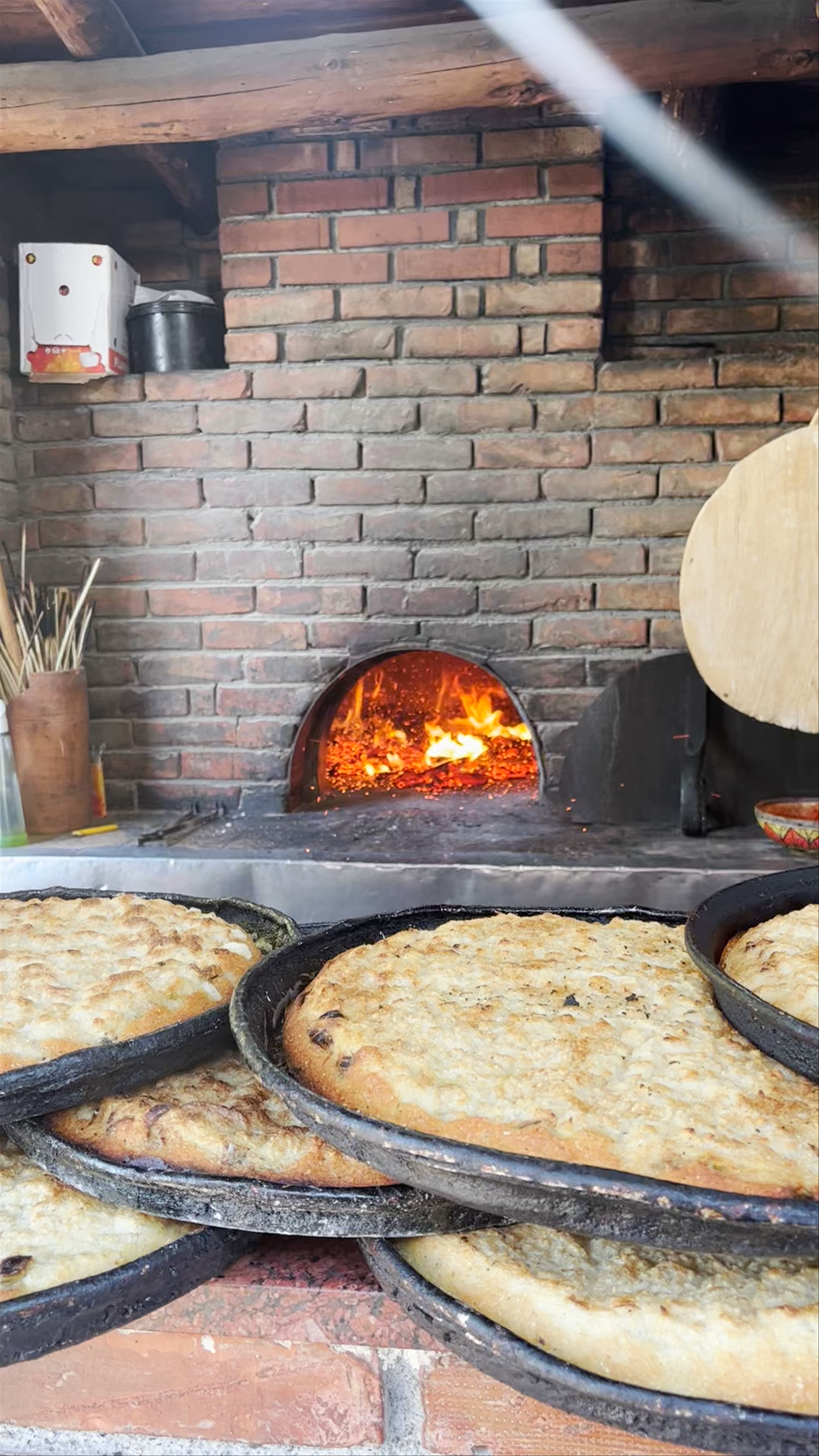 Mrizi i Zanave Agroturizëm