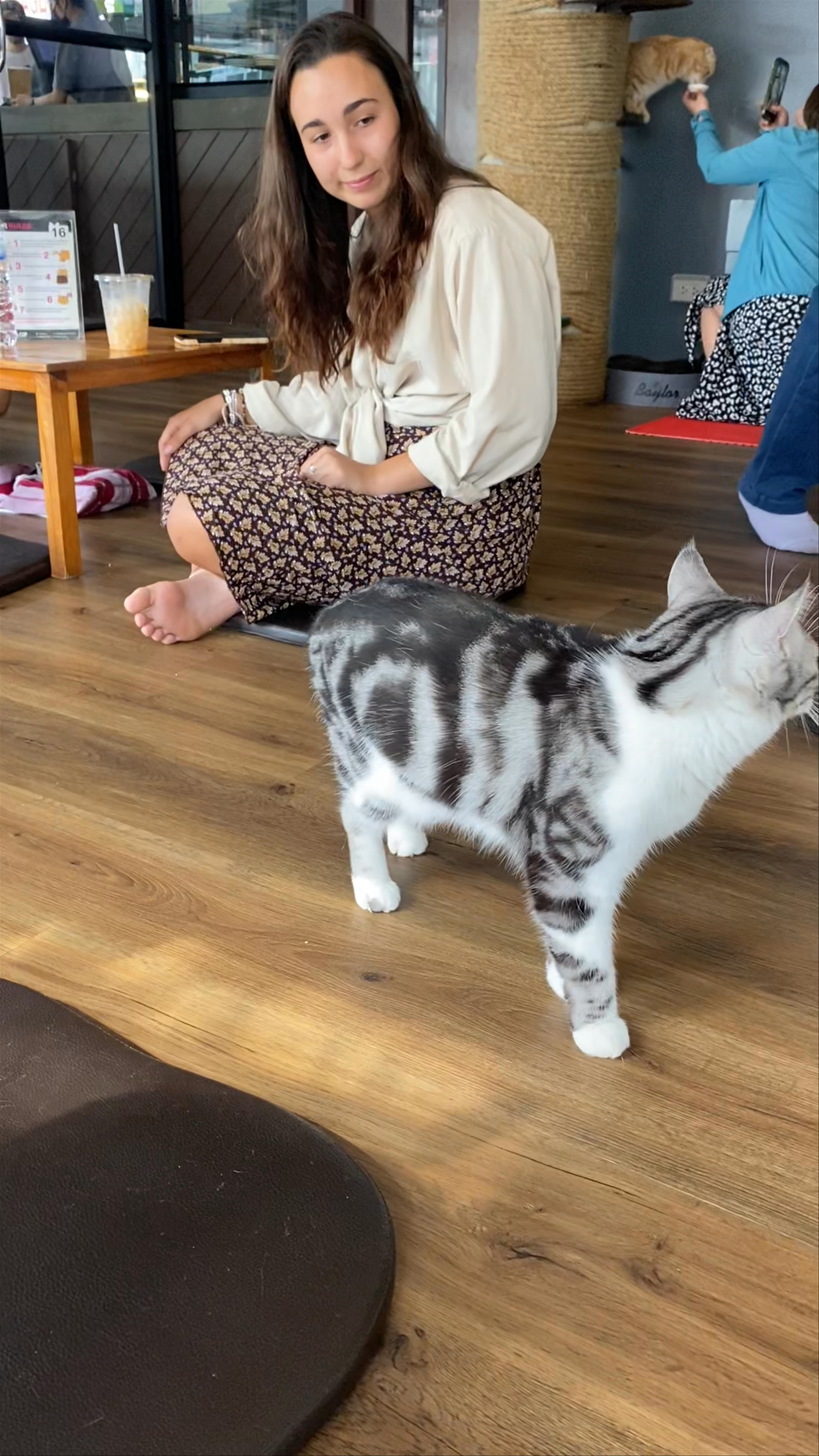 CAT 'n' A CUP Cat Cafe