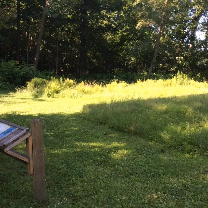Man Mound Park - Parks Near Me - Sauk, Wisconsin