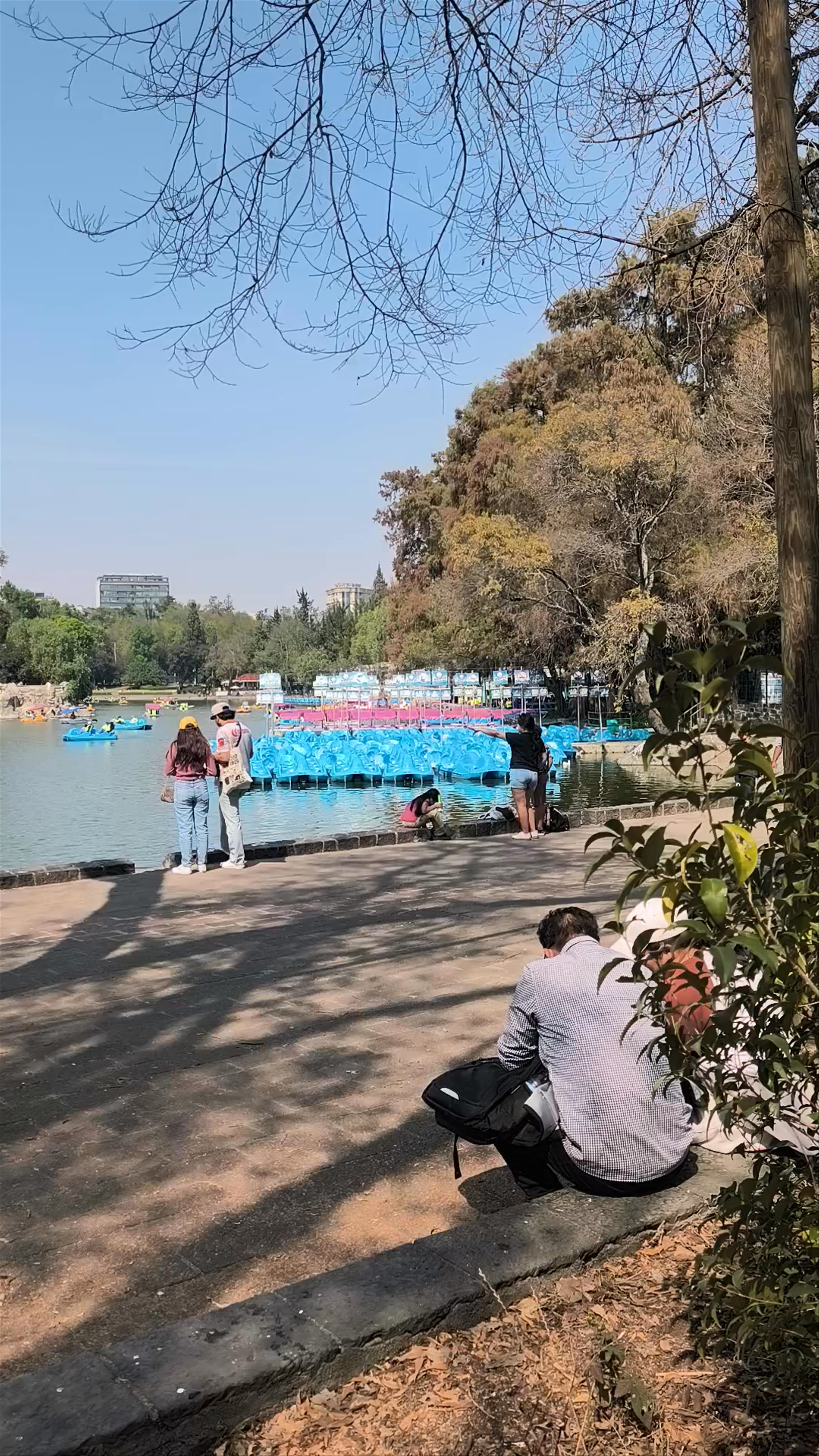 Lago de Chapultepec