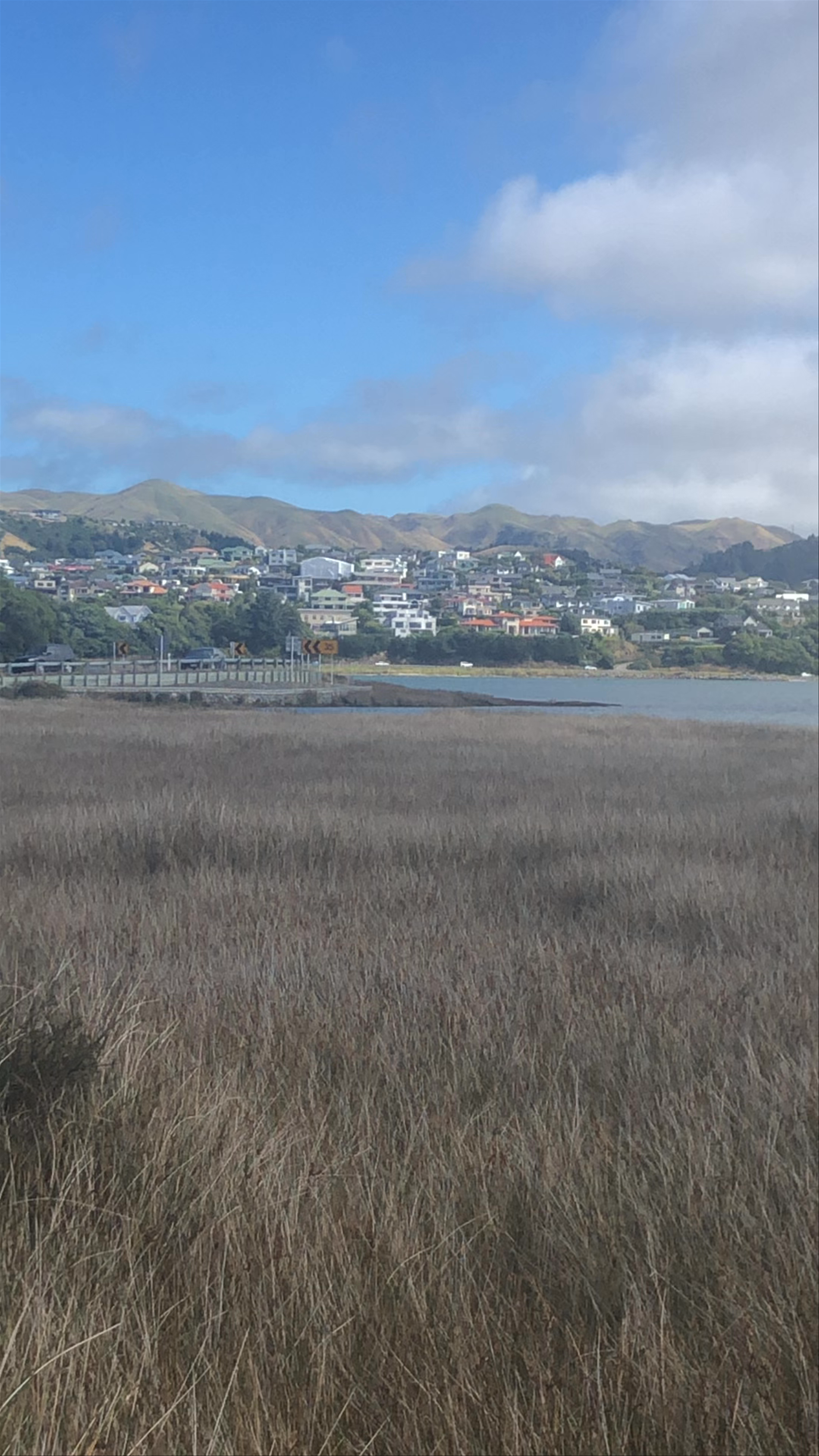 Peaceful Coastal Views at Dolly Varden Beach, Porirua