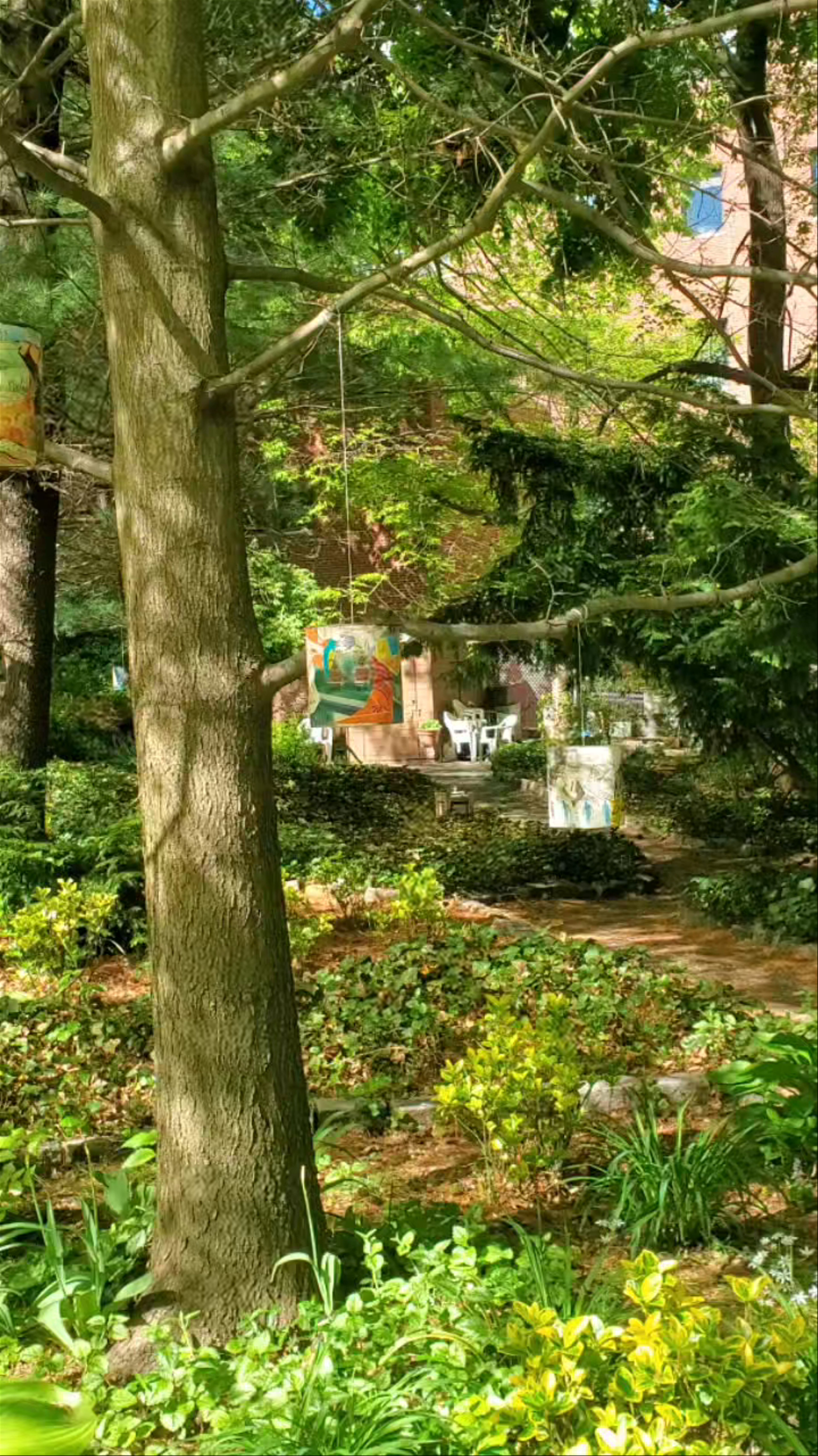 Serene Urban Oasis: Strolling Through Bruce's Garden in New York