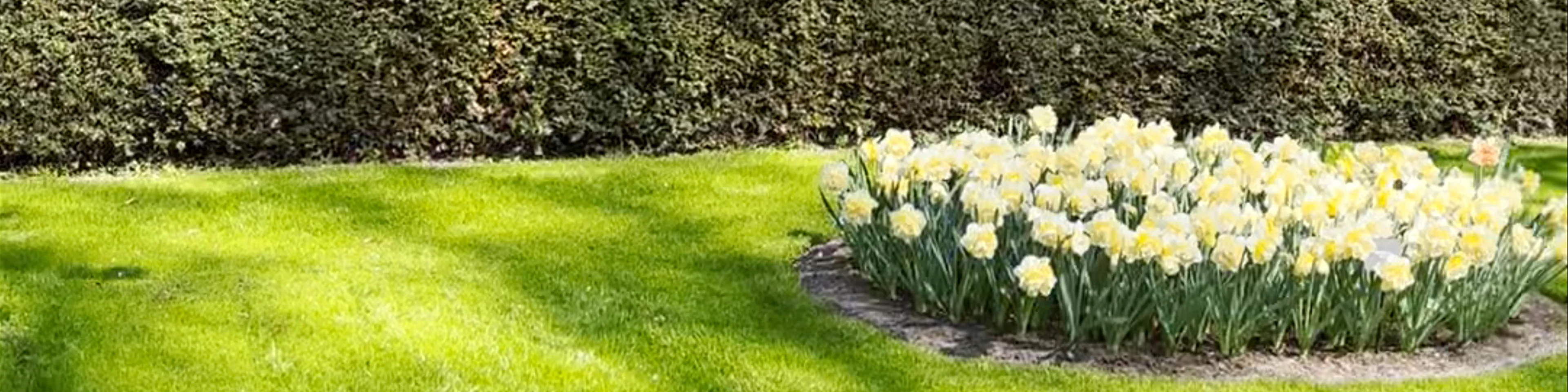 Keukenhof