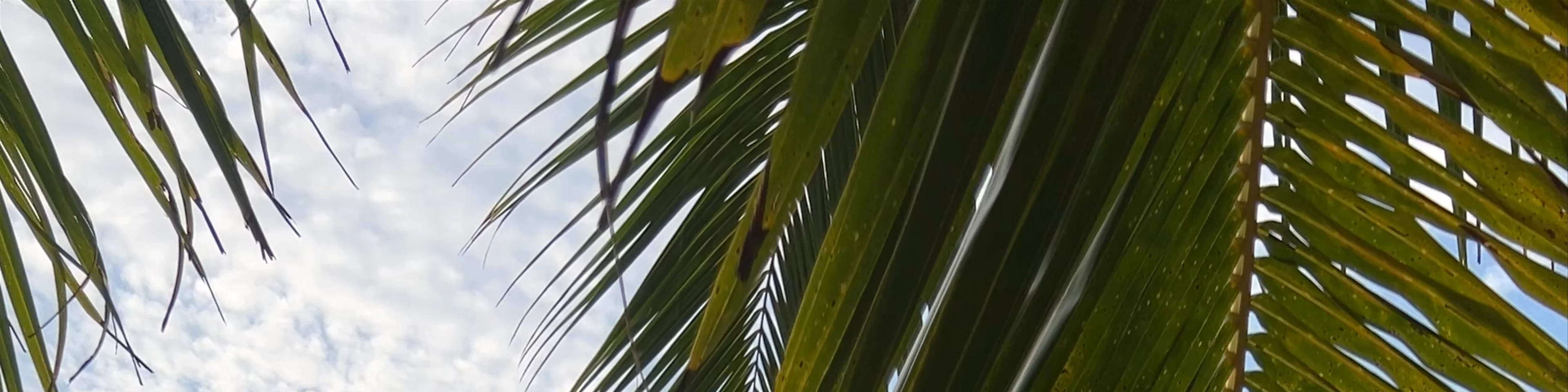Petite Anse Lazio