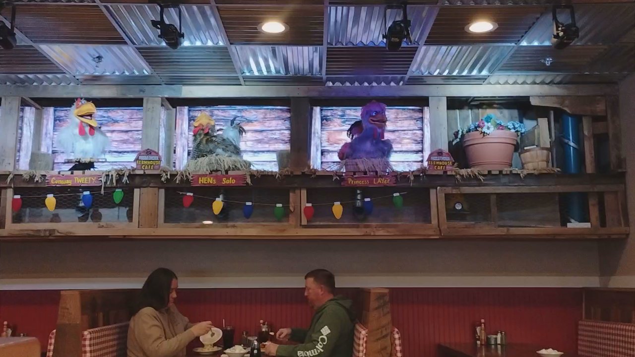 Frizzle Chicken Cafe - Chicken show - Breakfast & Brunch Near Me - Pigeon Forge, Tennessee