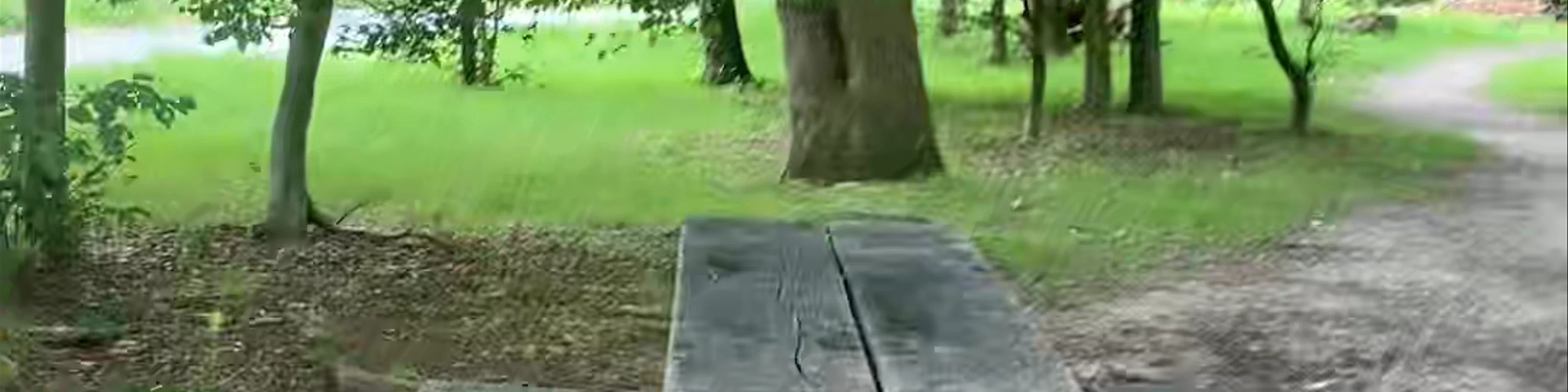 Epping Forest